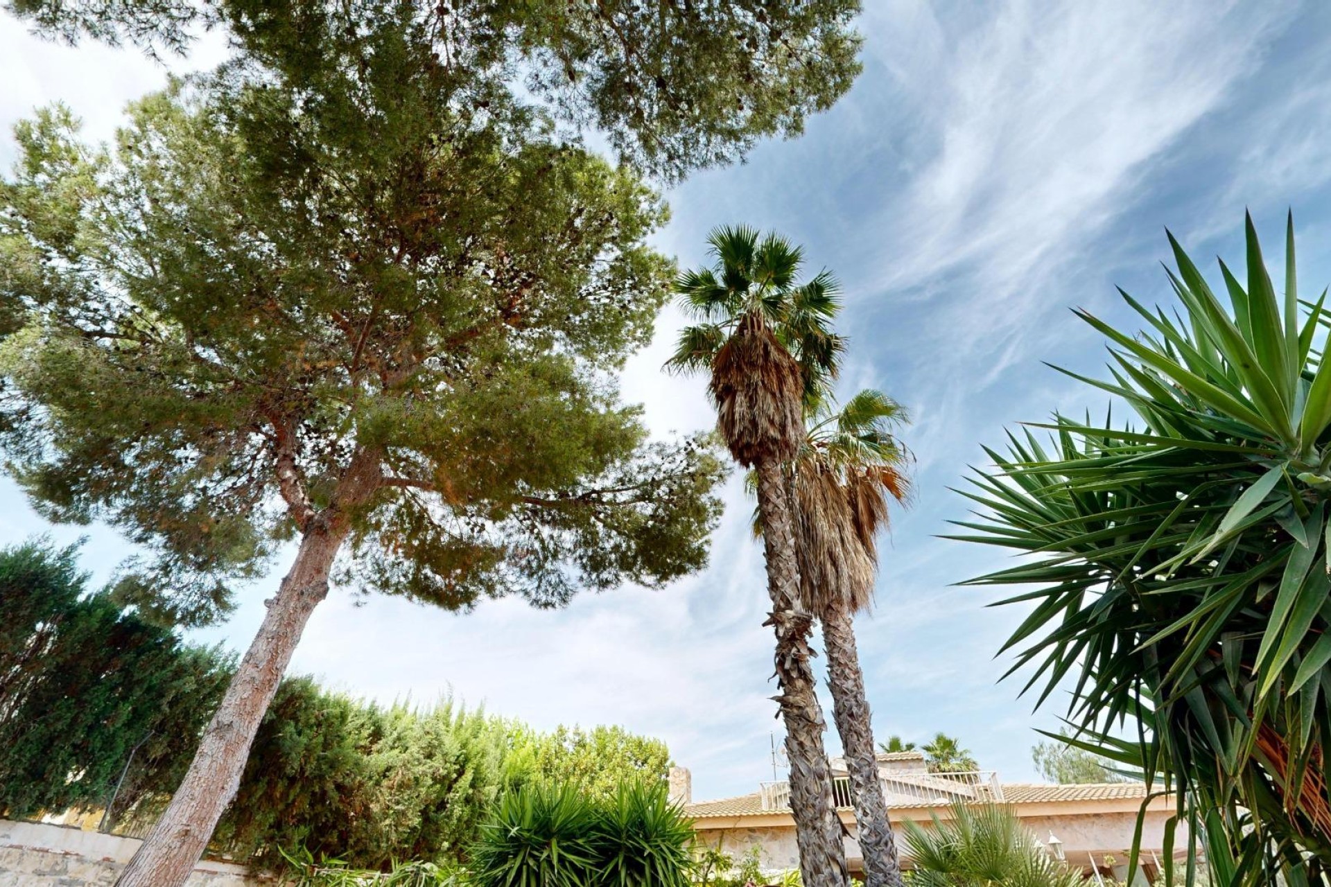 Reventa - Villa - Aspe pedanias - Pedanías Oeste