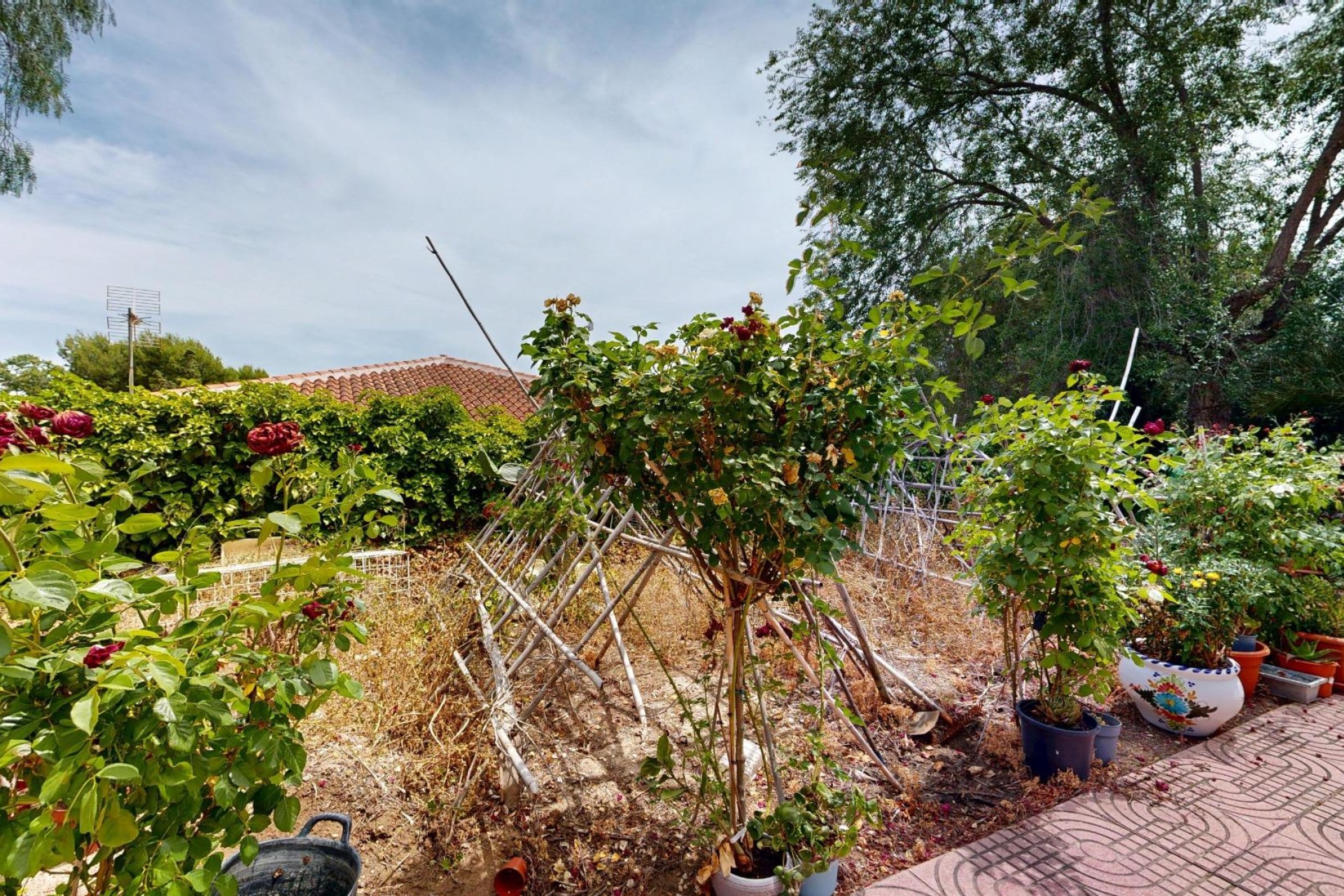 Reventa - Villa - Aspe pedanias - Pedanías Oeste