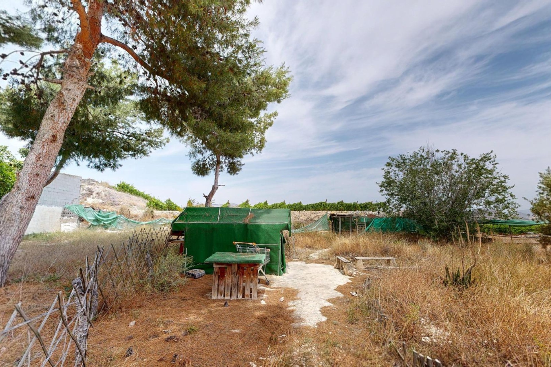 Reventa - Villa - Aspe pedanias - Pedanías Oeste