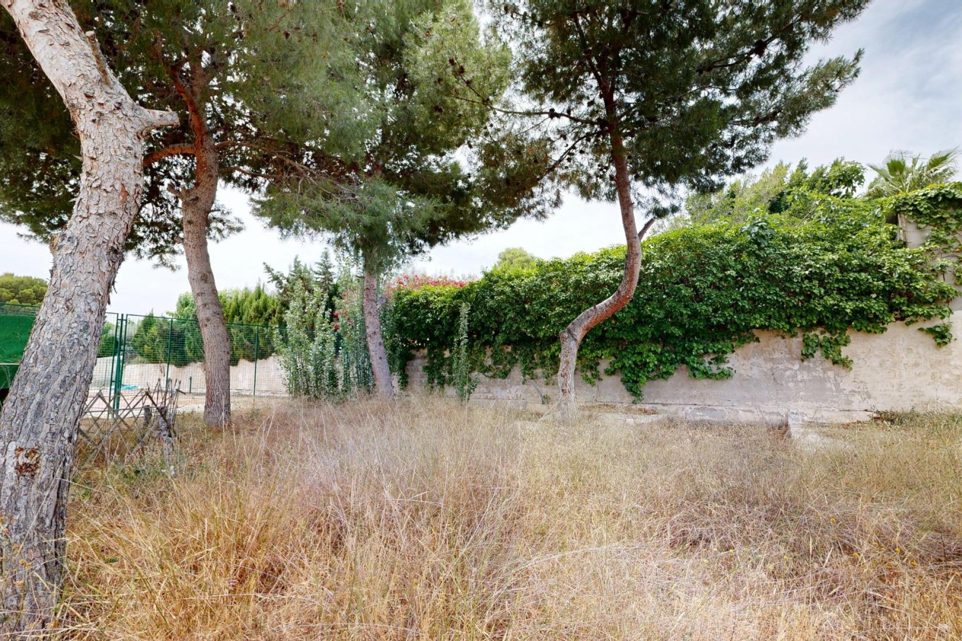 Reventa - Villa - Aspe pedanias - Pedanías Oeste