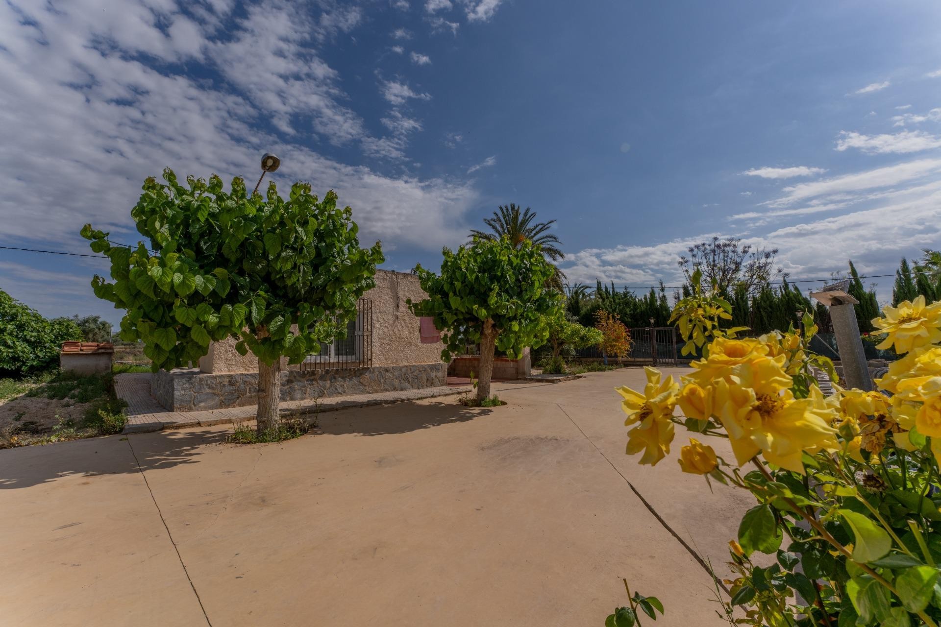 Reventa - Villa - Crevillent - DERRAMADOR