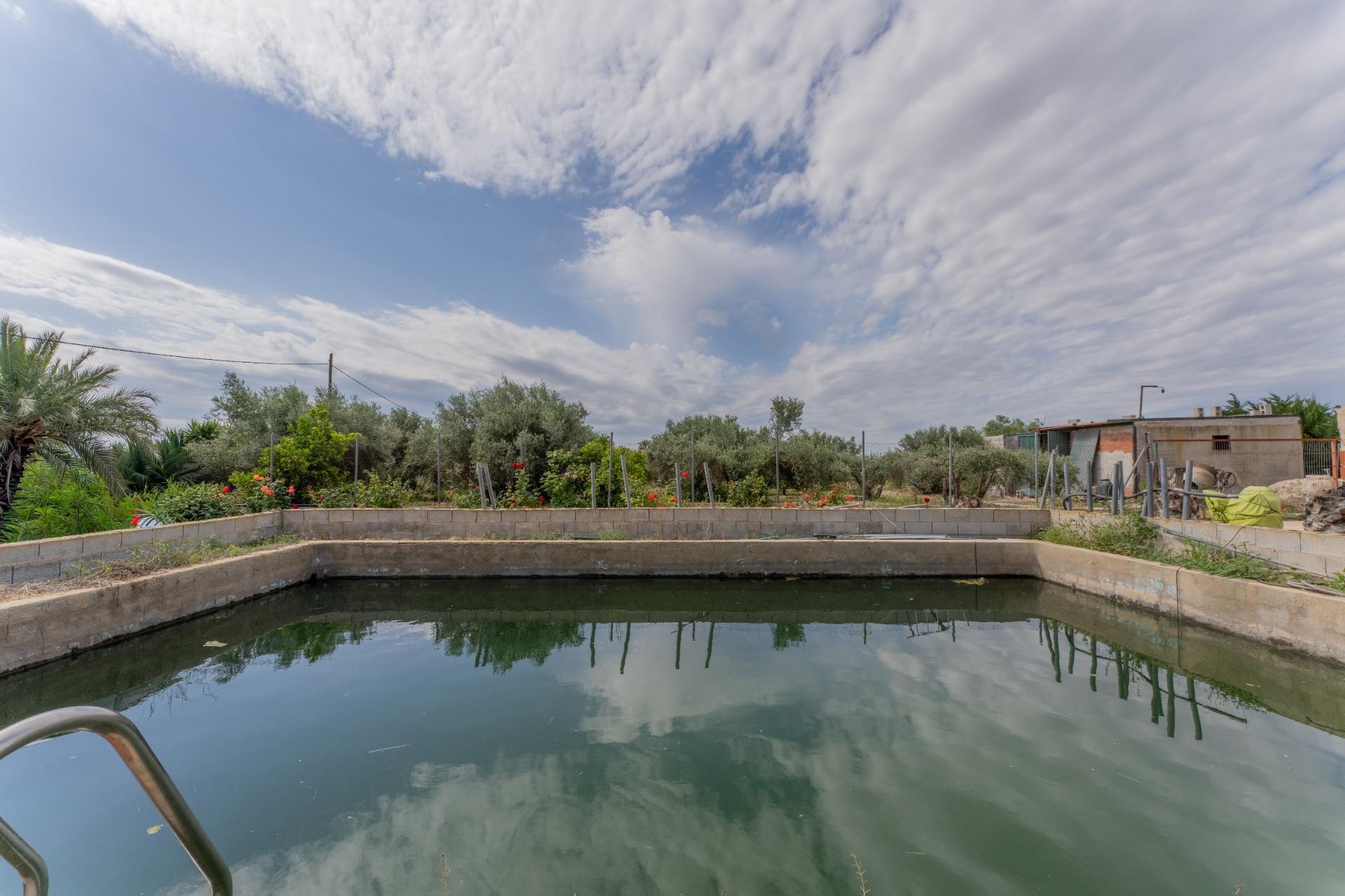 Reventa - Villa - Crevillent - DERRAMADOR