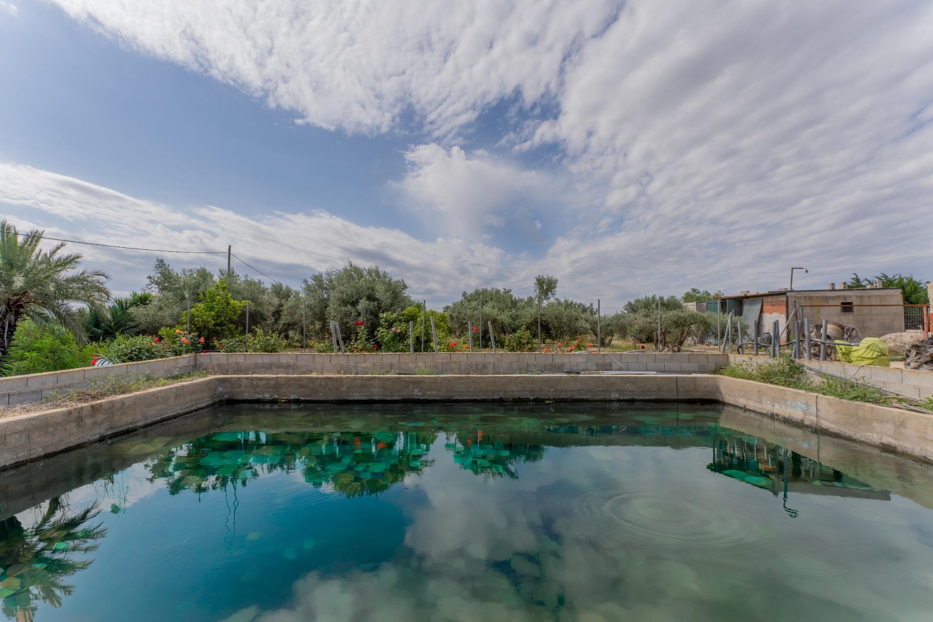 Reventa - Villa - Crevillent - DERRAMADOR