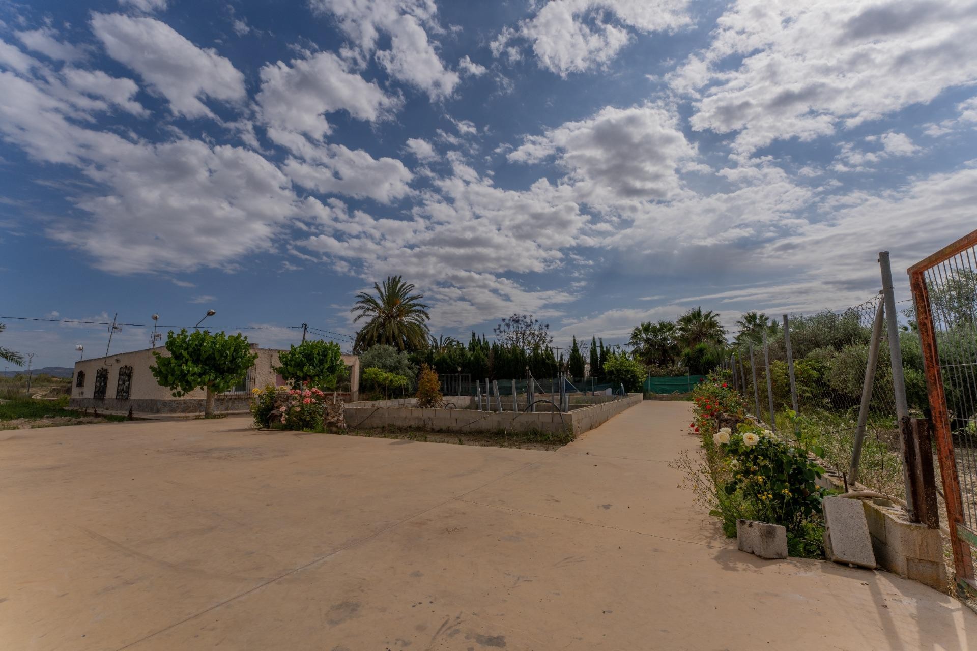 Reventa - Villa - Crevillent - DERRAMADOR