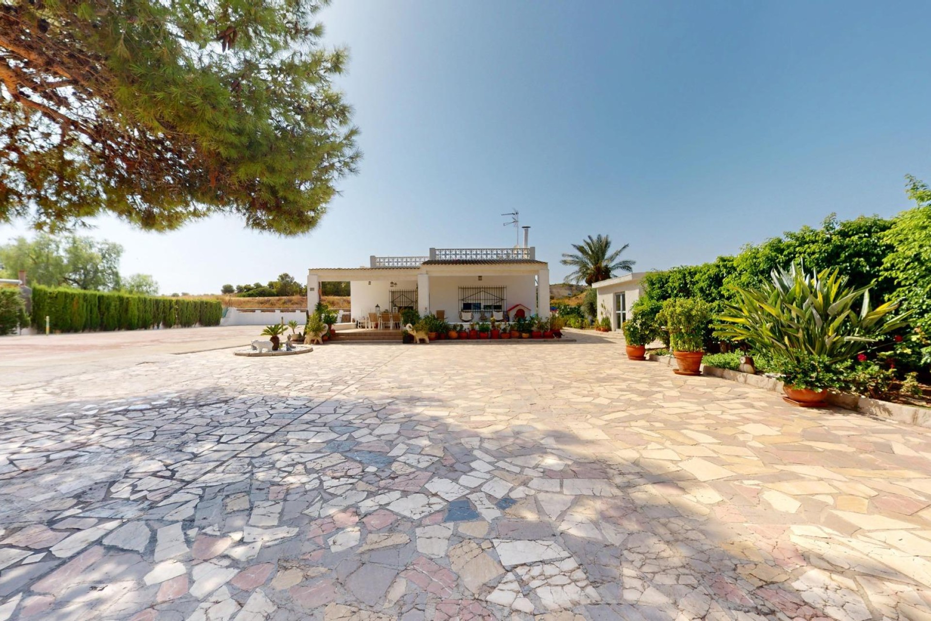 Reventa - Villa - Elche - La Galia-Bonavista