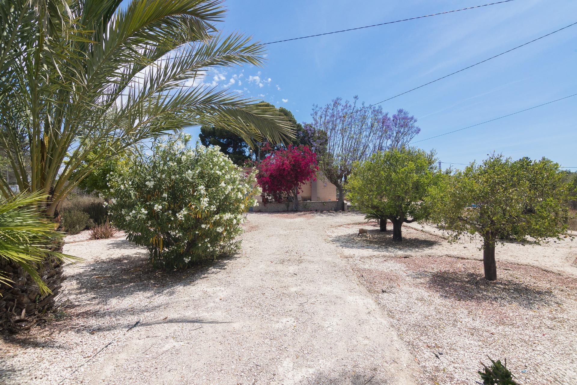 Reventa - Villa - Elche - La Galia-Bonavista