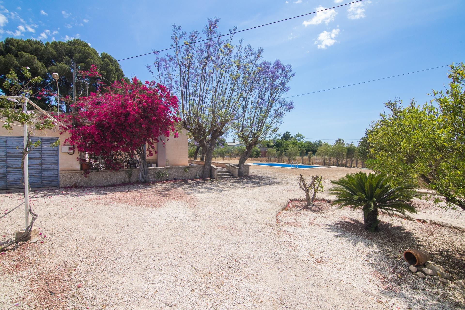 Reventa - Villa - Elche - La Galia-Bonavista