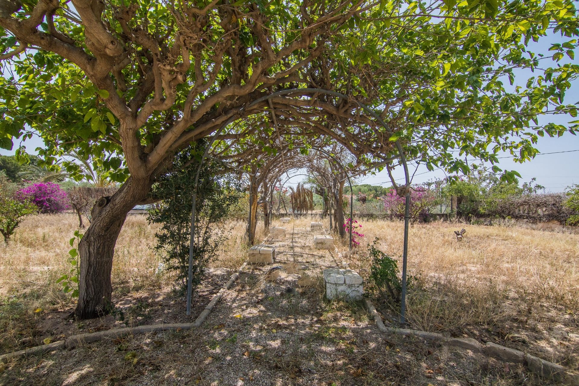 Reventa - Villa - Elche - La Galia-Bonavista