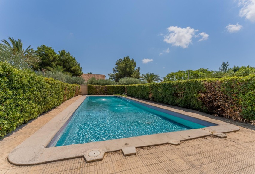 Reventa - Villa - Elche Pedanías - Algoda-Matola-Llano de San José