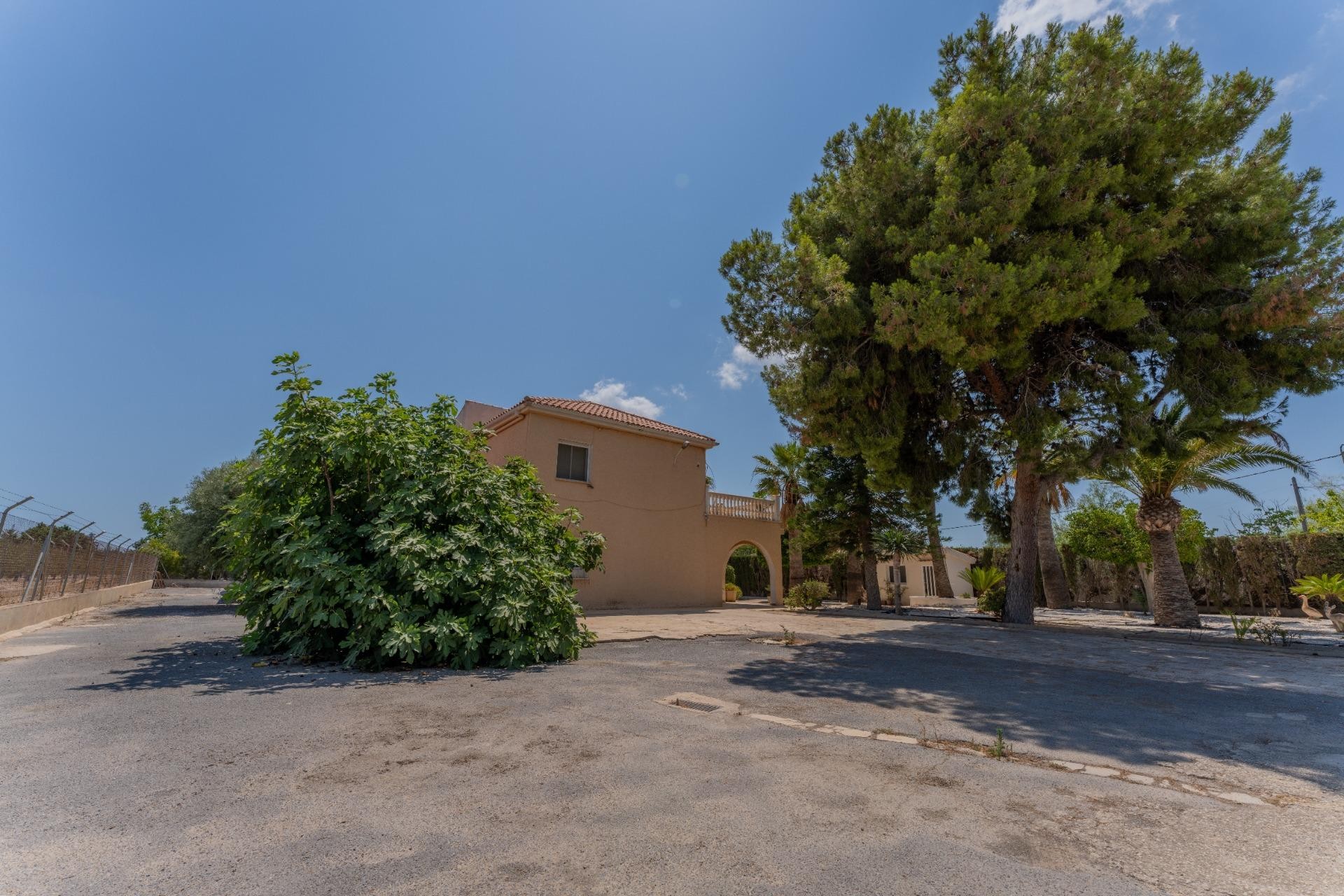 Reventa - Villa - Elche Pedanías - Algoda-Matola-Llano de San José