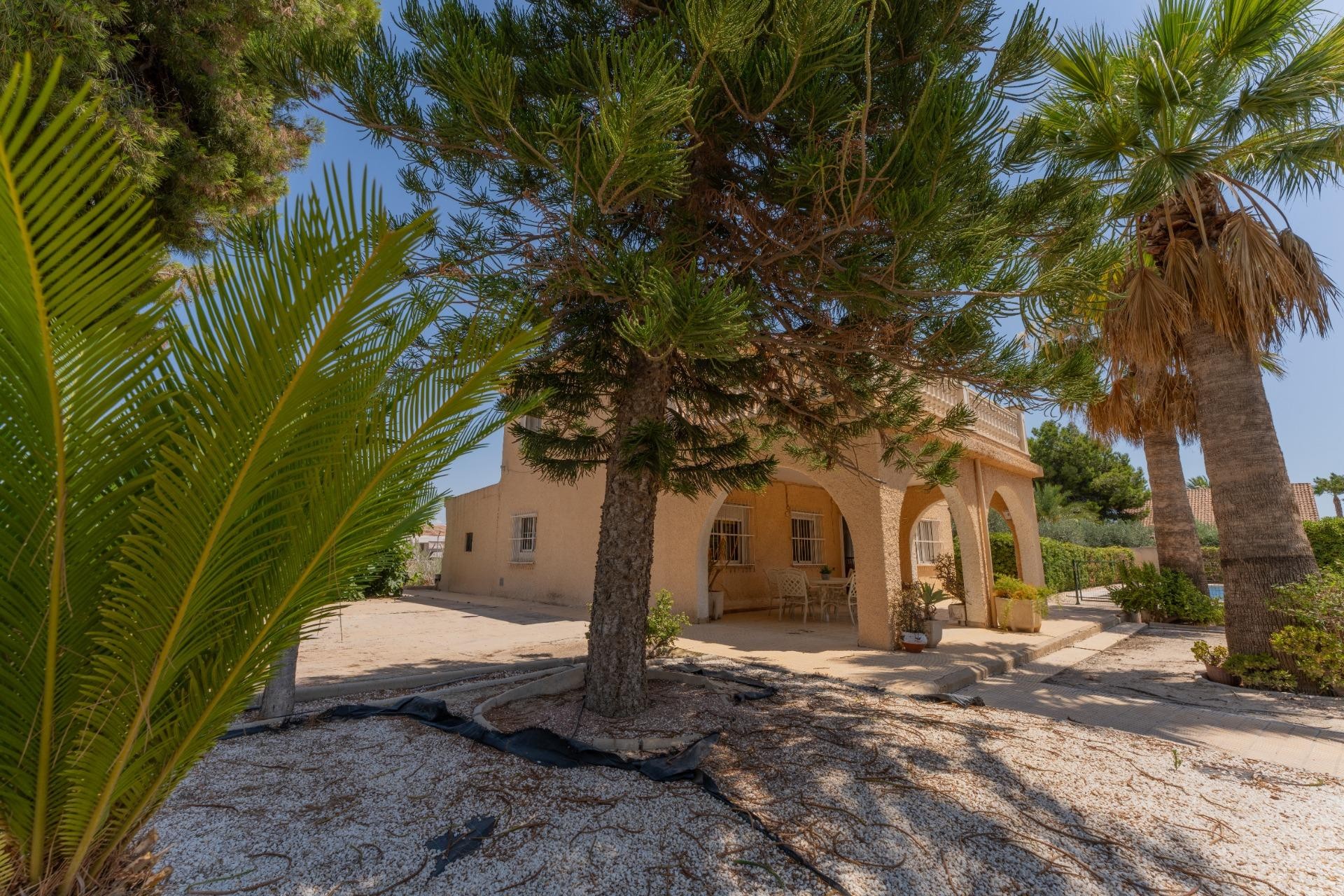 Reventa - Villa - Elche Pedanías - Algoda-Matola-Llano de San José