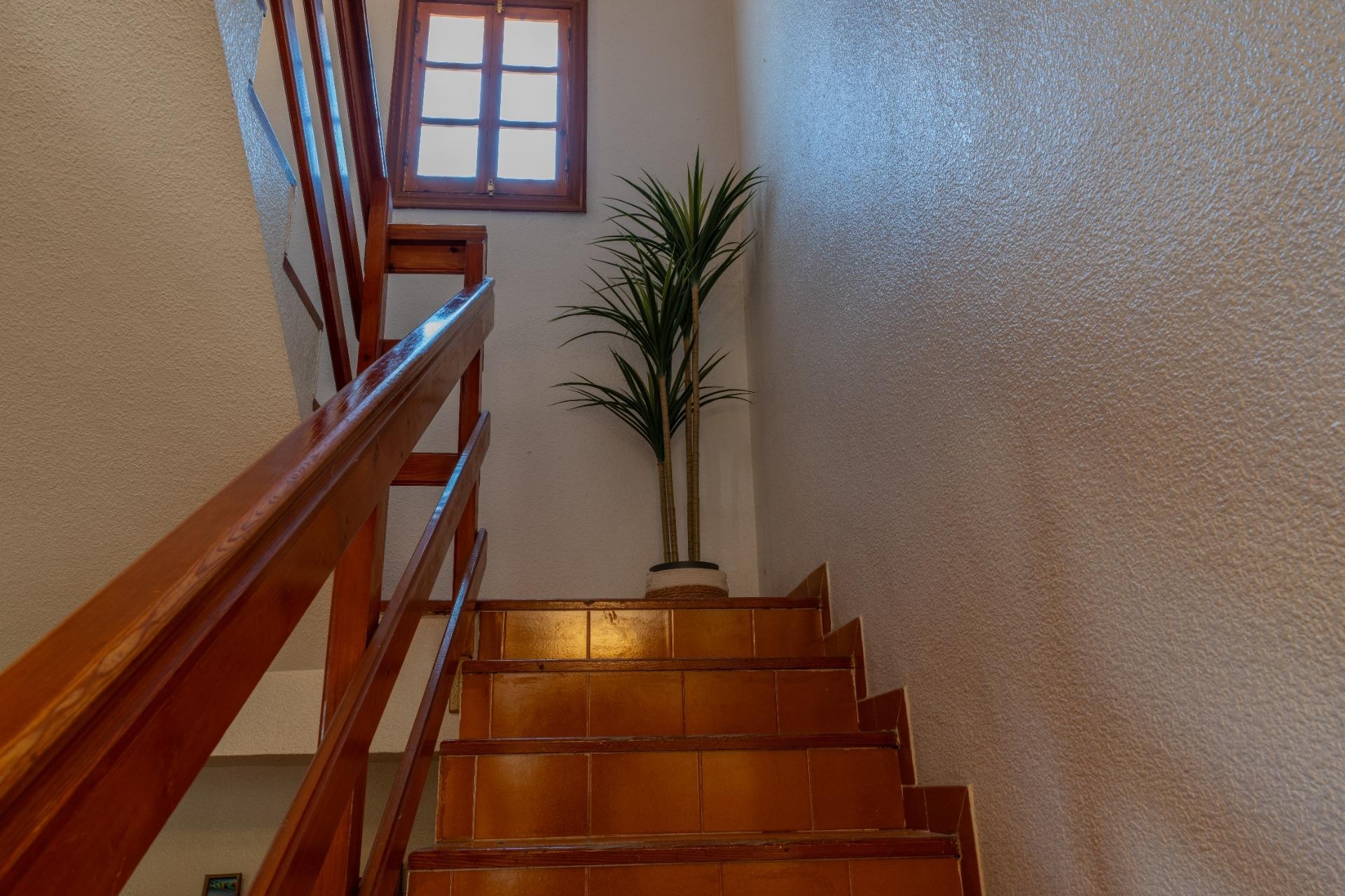 Reventa - Villa - Elche Pedanías - Algoda