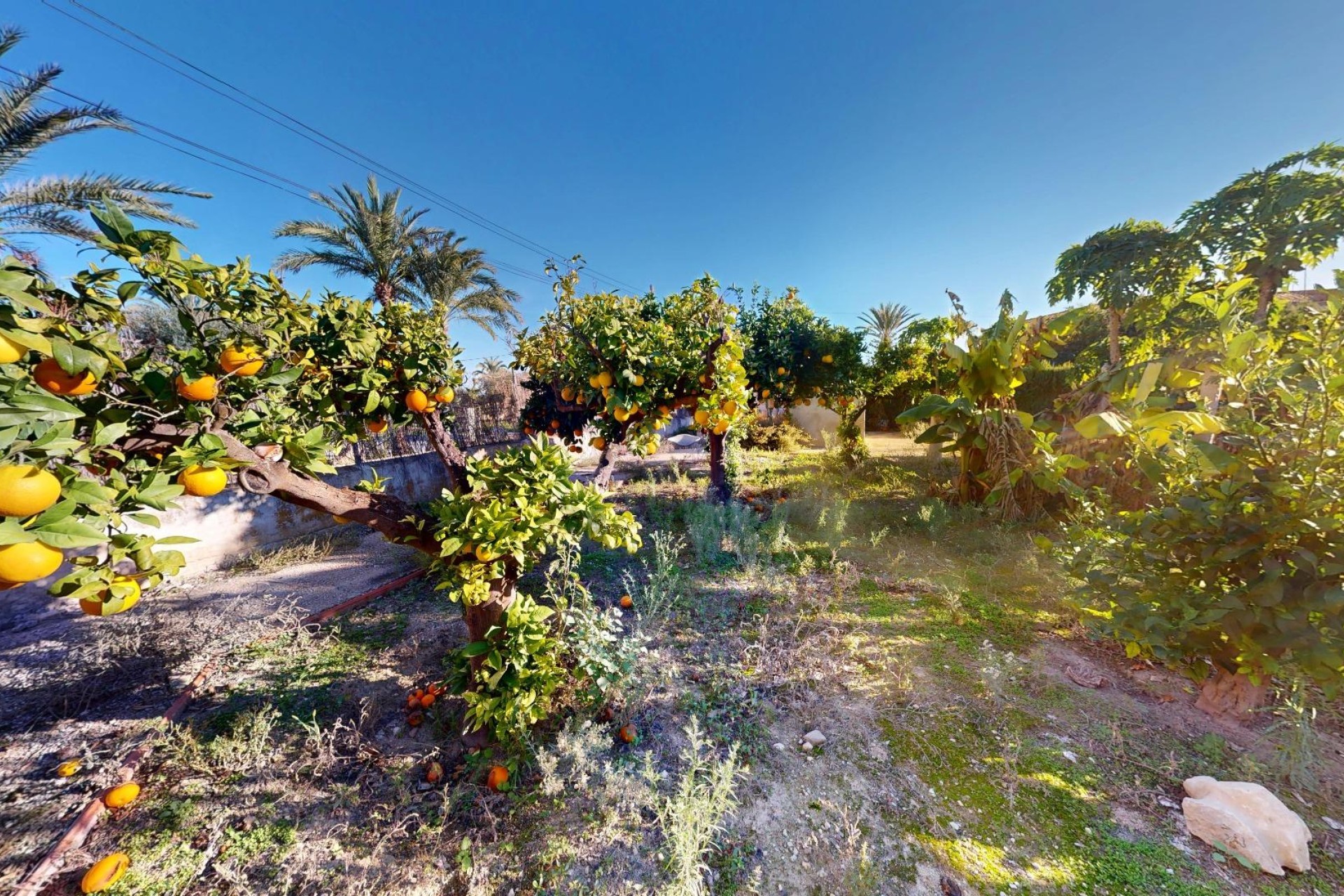 Reventa - Villa - Elche Pedanías - Alzabares