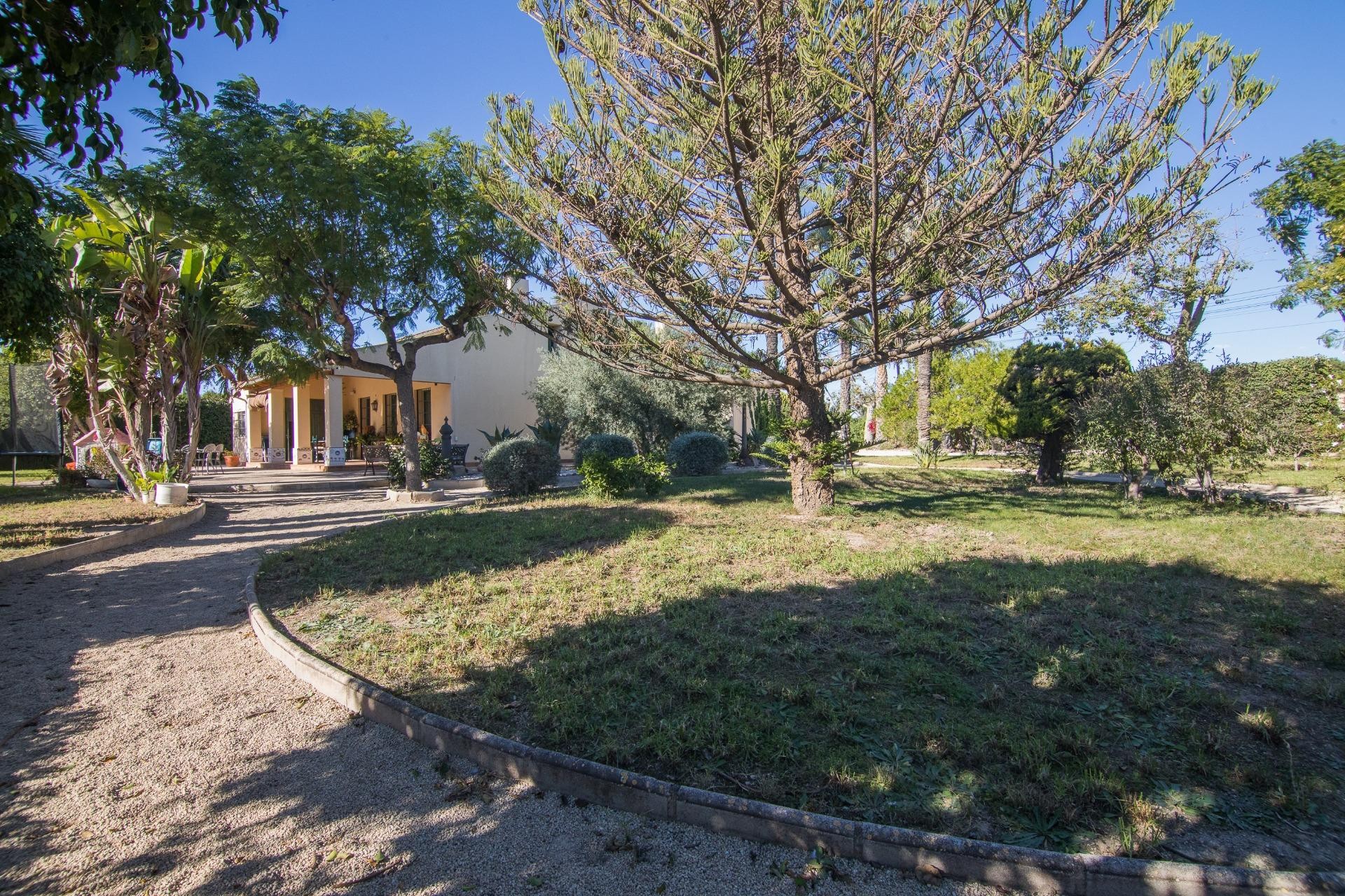 Reventa - Villa - Elche Pedanías - Alzabares