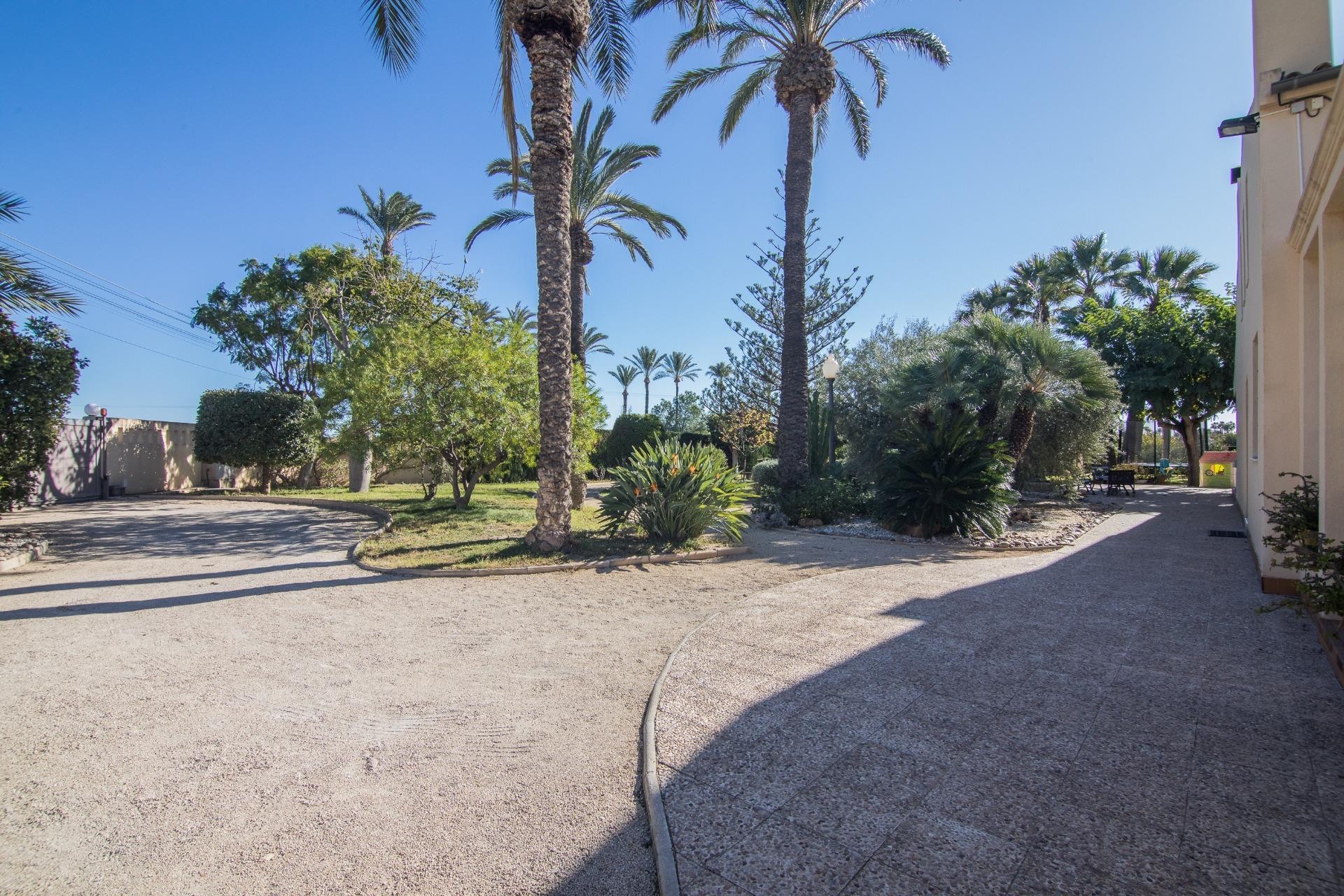 Reventa - Villa - Elche Pedanías - Alzabares