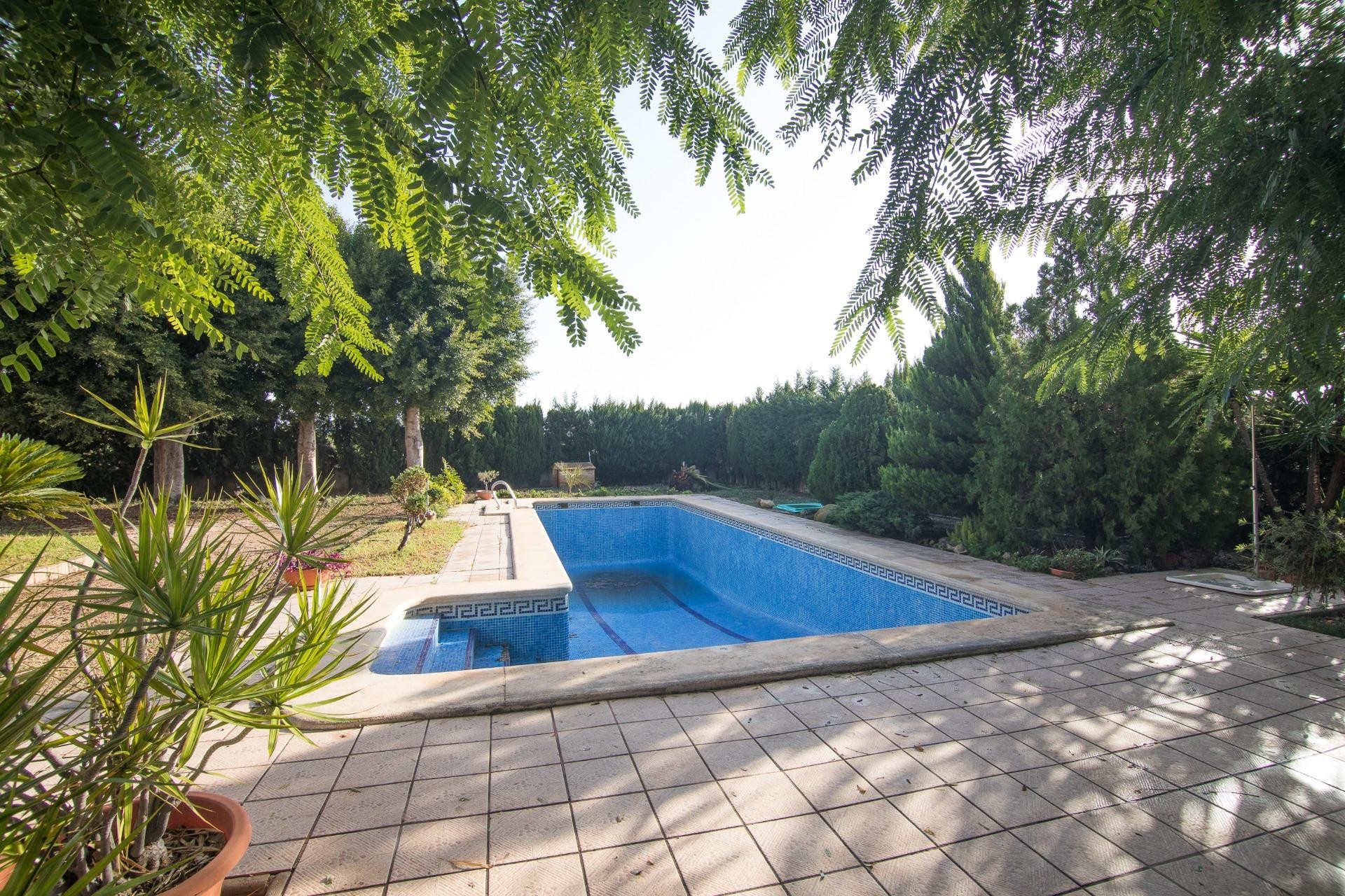 Reventa - Villa - Elche Pedanías - Alzabares