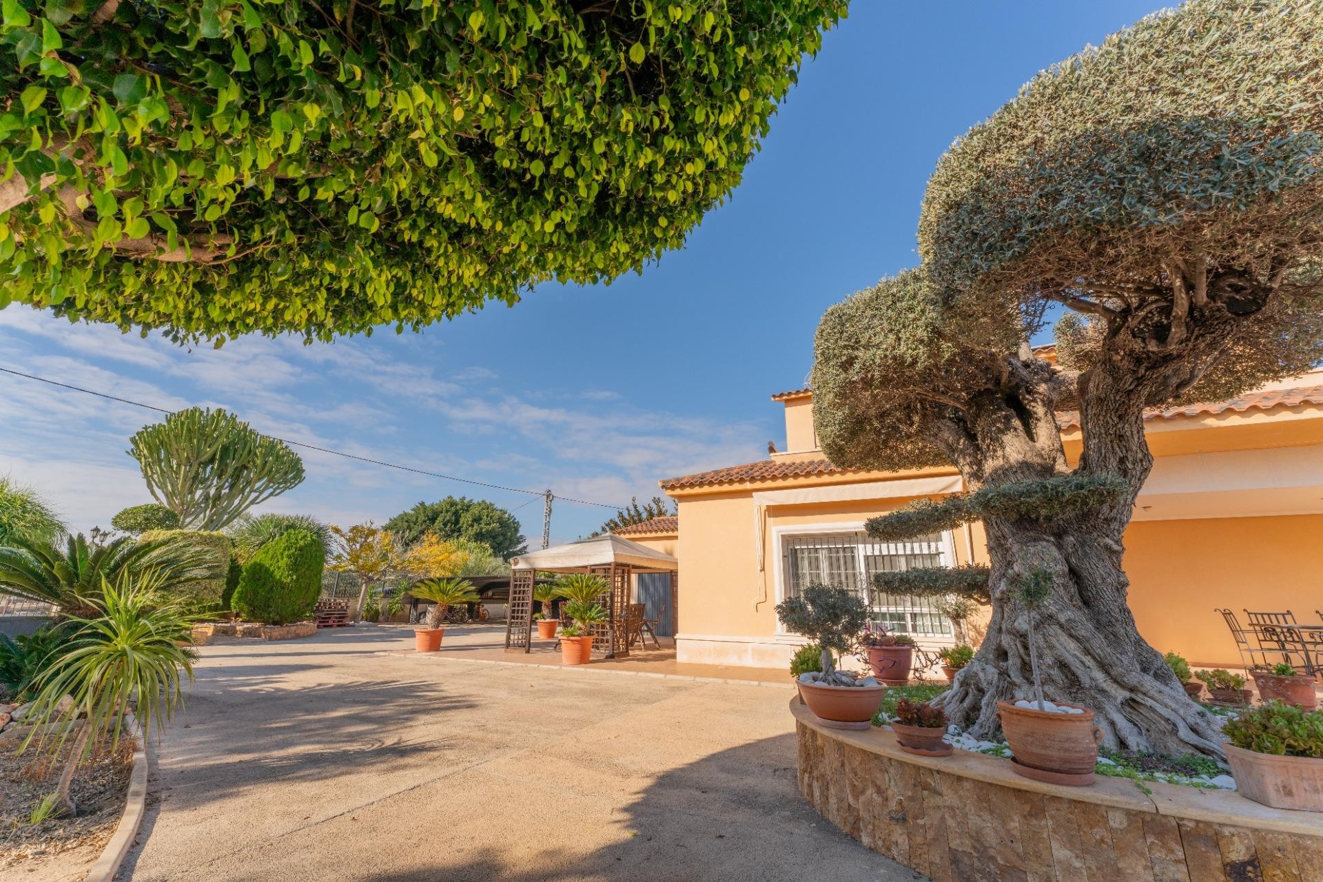 Reventa - Villa - Elche Pedanías - Jubalcoy