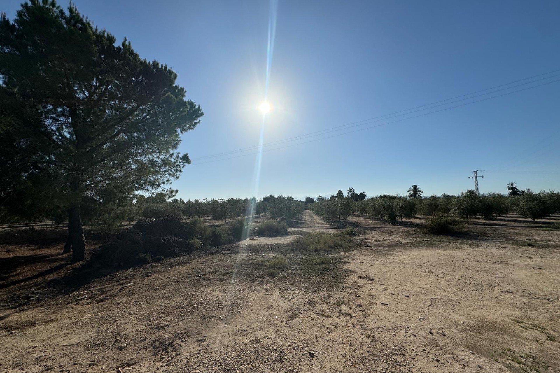 Reventa - Villa - Elche Pedanías - La Hoya-Daimes-El Derramador