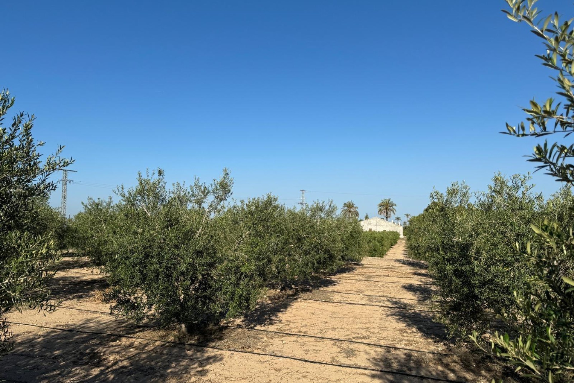 Reventa - Villa - Elche Pedanías - La Hoya-Daimes-El Derramador