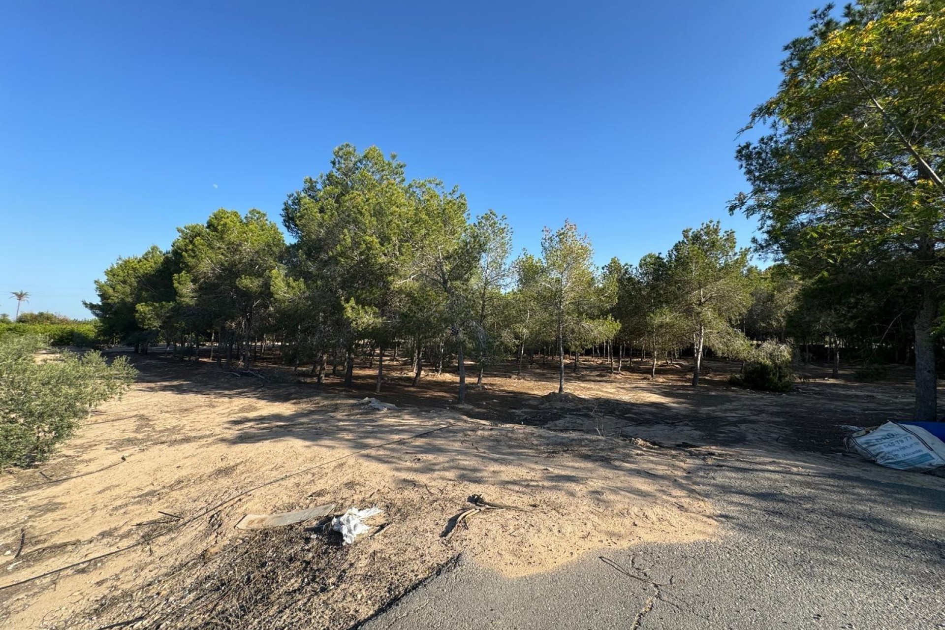 Reventa - Villa - Elche Pedanías - La Hoya-Daimes-El Derramador