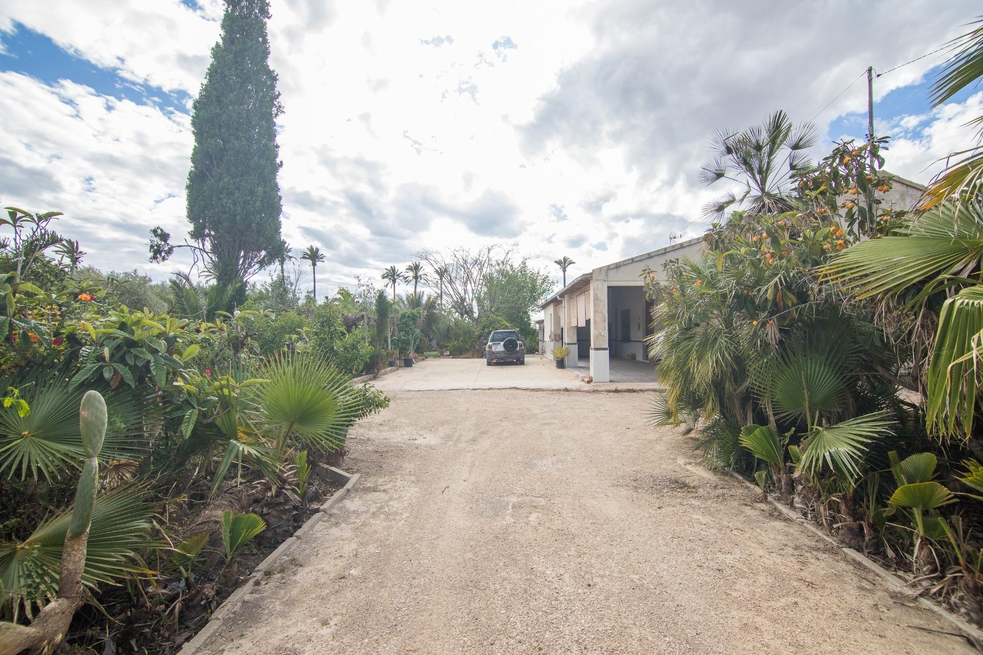 Reventa - Villa - Elche Pedanías - La Hoya-Daimes-El Derramador