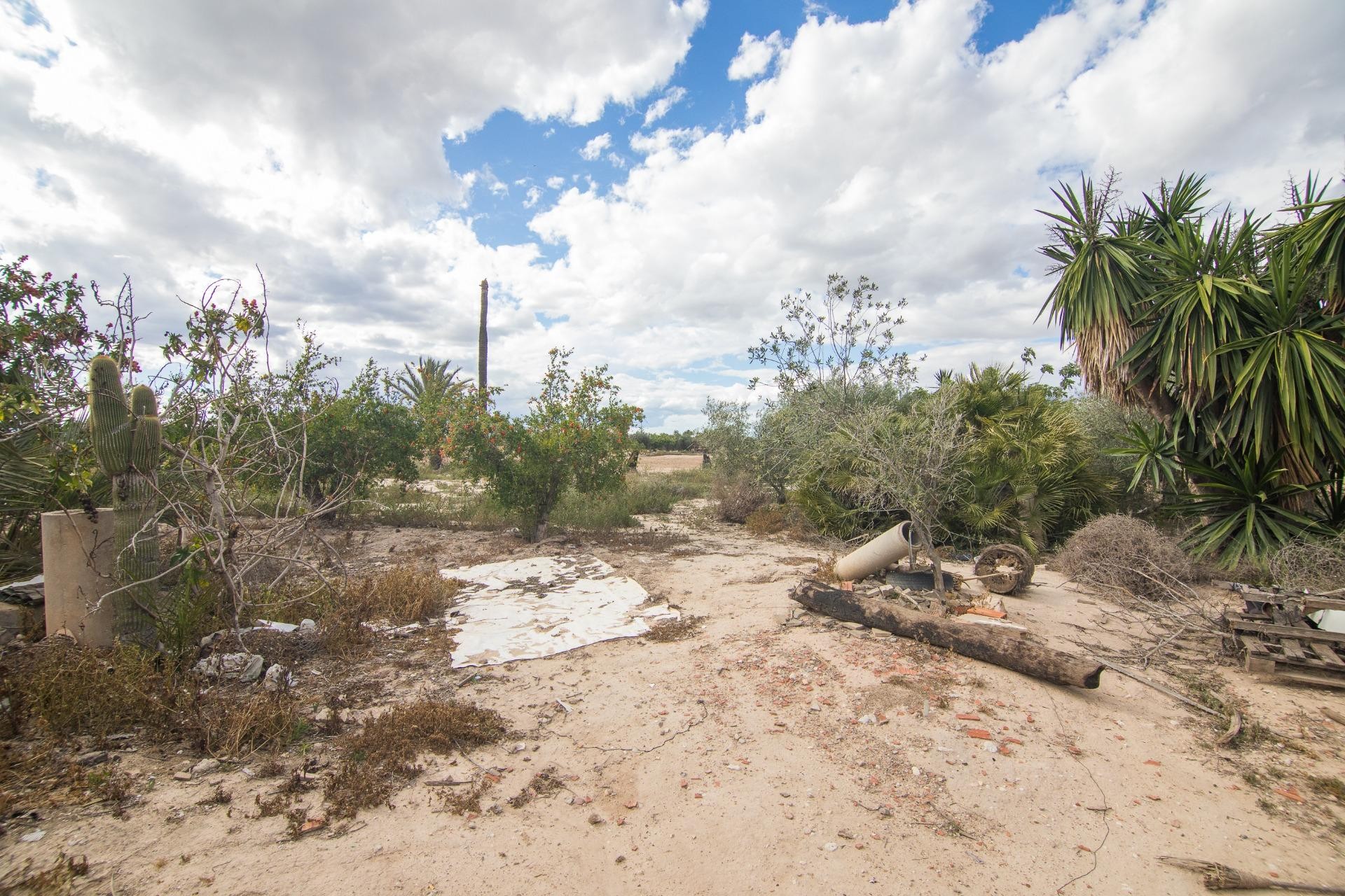 Reventa - Villa - Elche Pedanías - La Hoya-Daimes-El Derramador