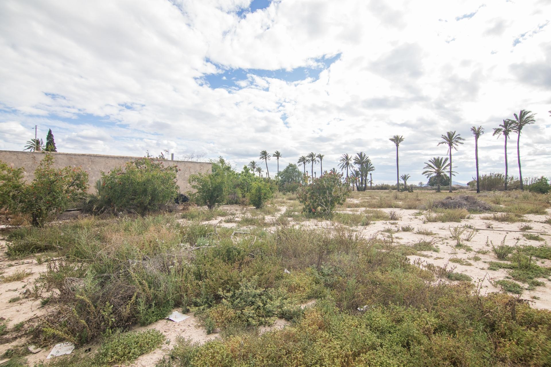 Reventa - Villa - Elche Pedanías - La Hoya-Daimes-El Derramador