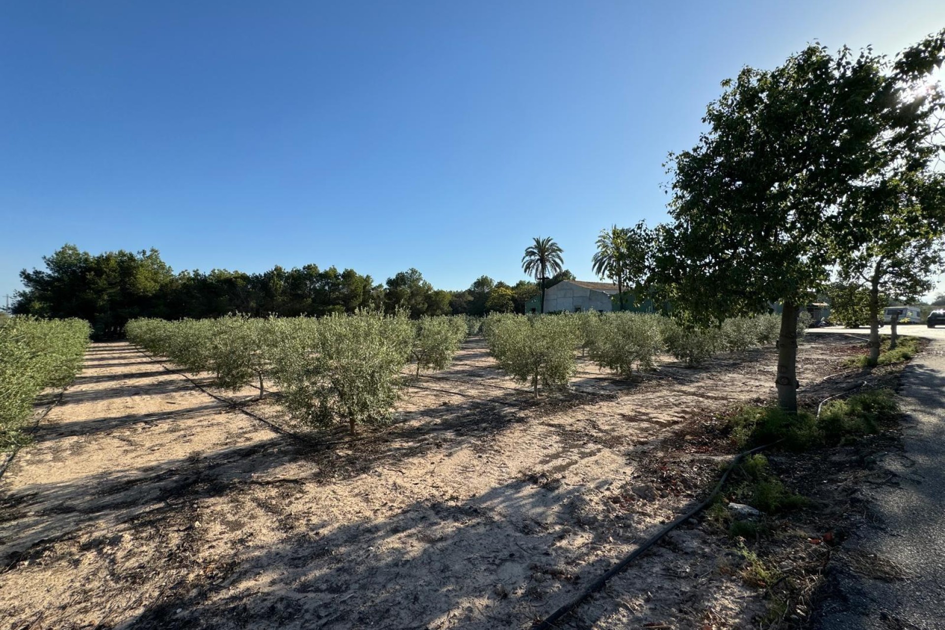 Reventa - Villa - Elche Pedanías - La Hoya