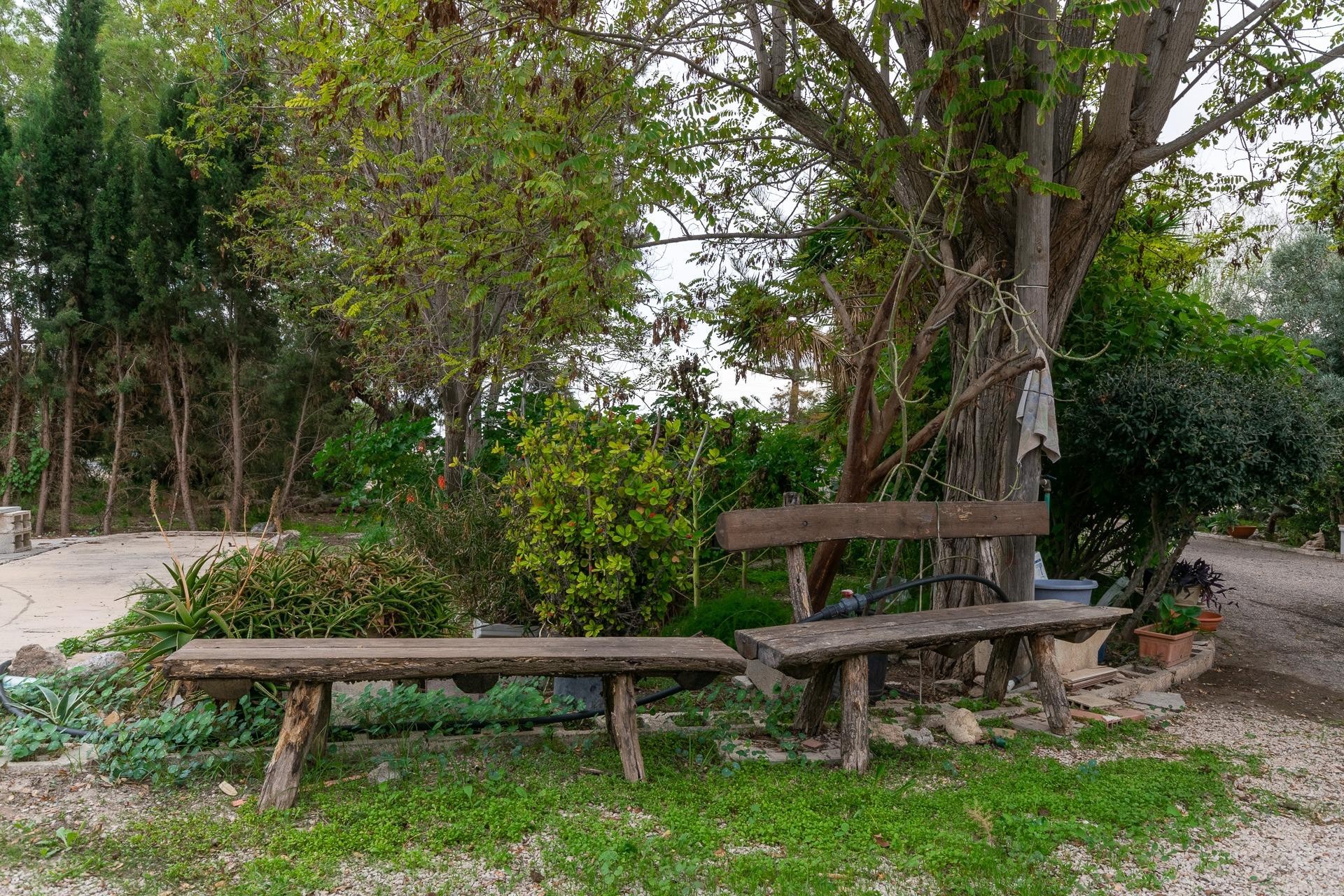 Reventa - Villa - Elche Pedanías - La hoya