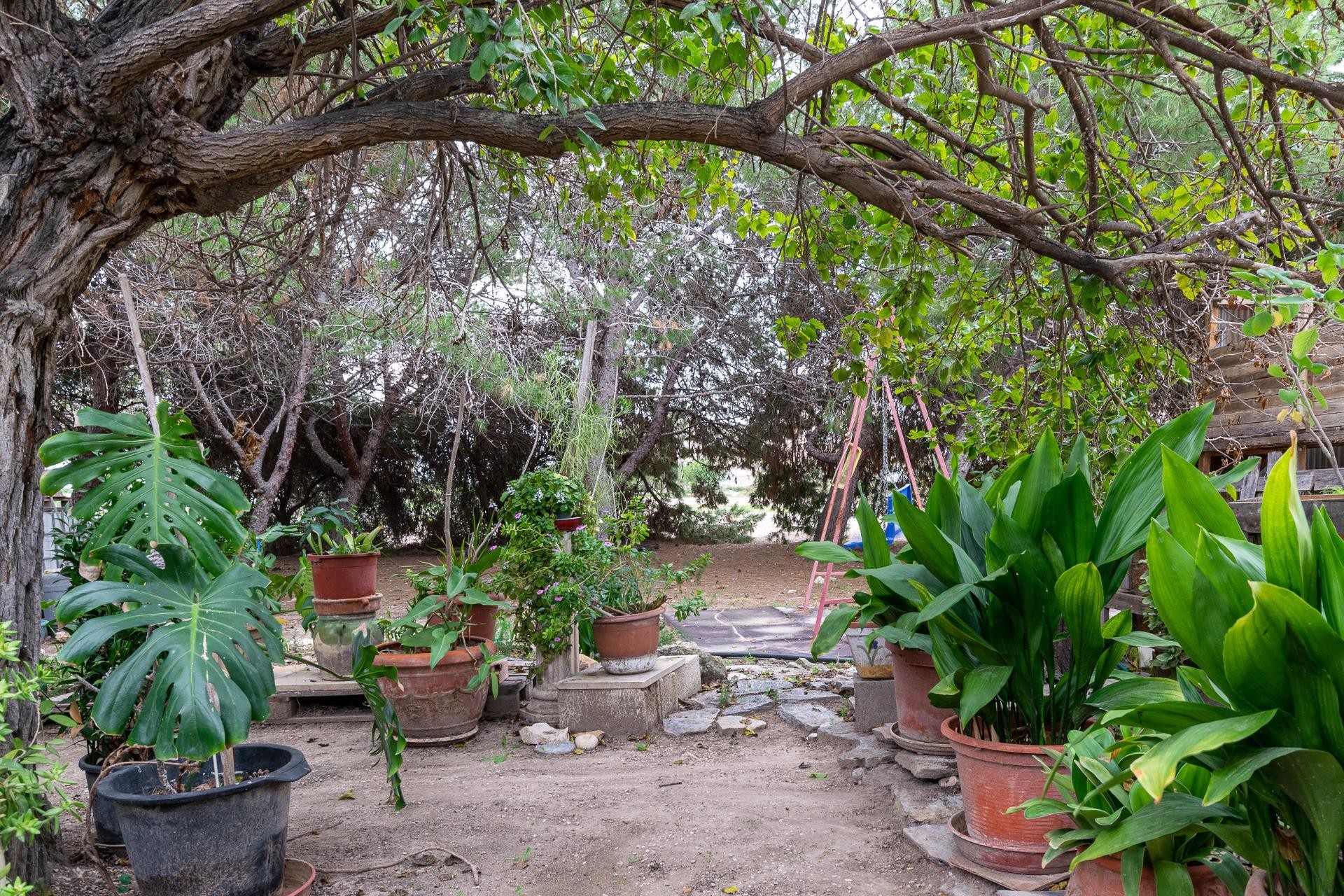 Reventa - Villa - Elche Pedanías - La hoya