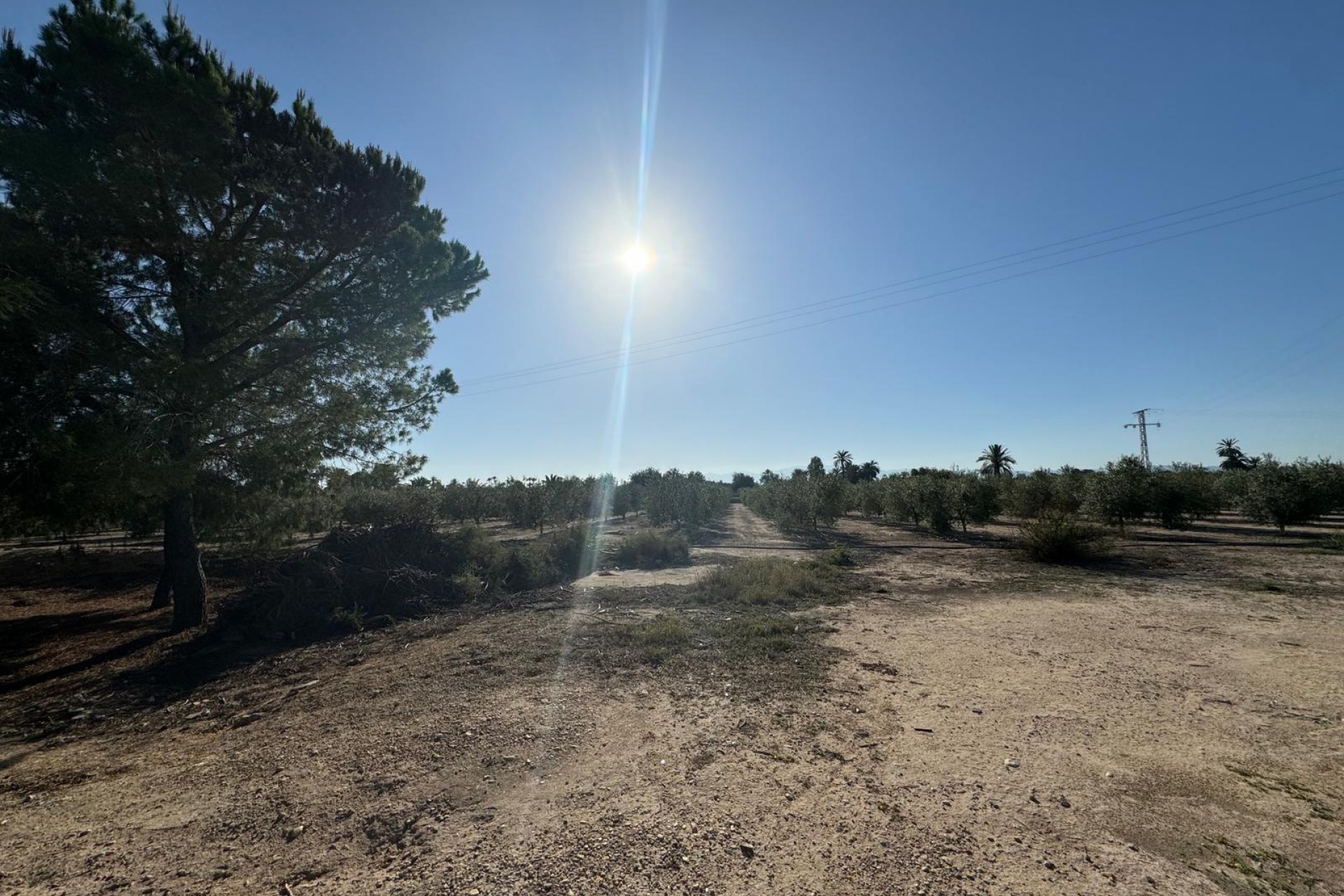 Reventa - Villa - Elche Pedanías - La Hoya