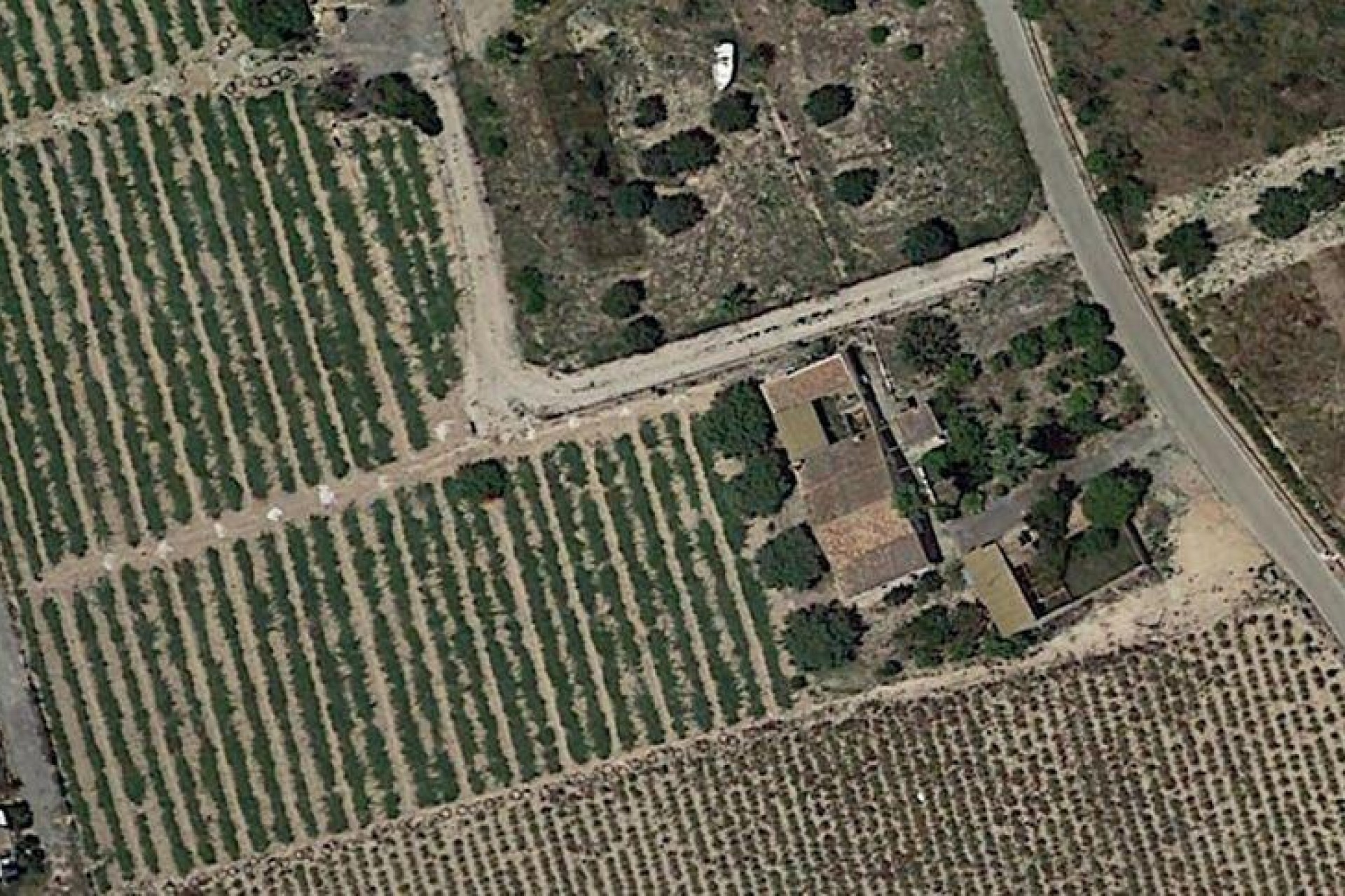 Reventa - Villa - Elche Pedanías - Las Bayas-Asprillas