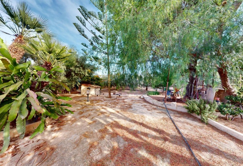 Reventa - Villa - Elche Pedanías - Las Bayas-Asprillas