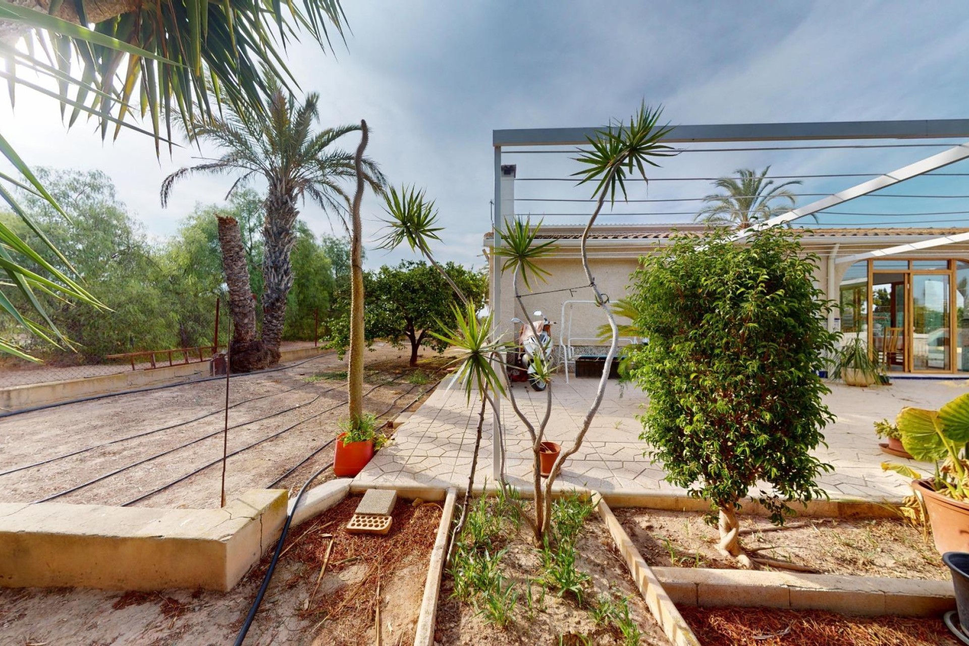 Reventa - Villa - Elche Pedanías - Las Bayas-Asprillas