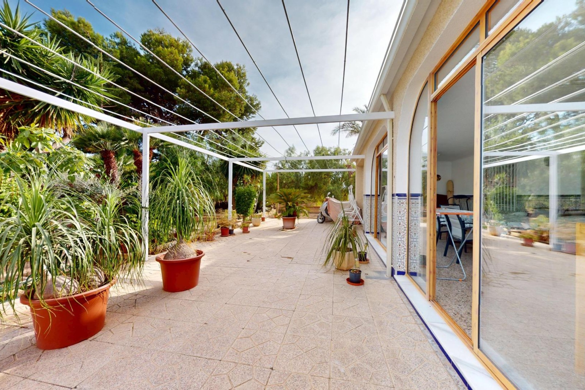 Reventa - Villa - Elche Pedanías - Las Bayas-Asprillas