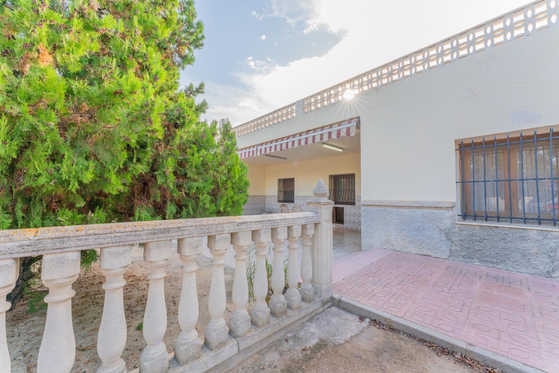 Reventa - Villa - Elche Pedanías - Matola - Campo