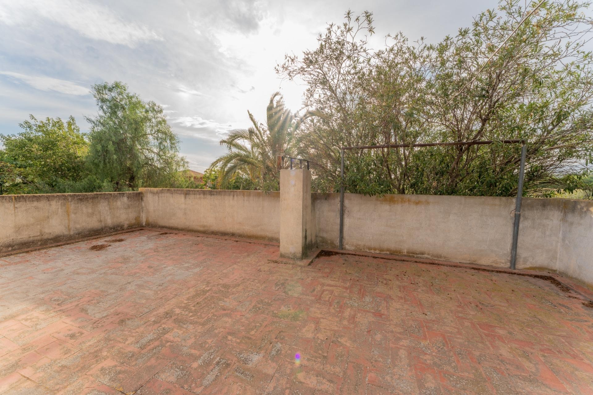 Reventa - Villa - Elche Pedanías - Matola - Campo