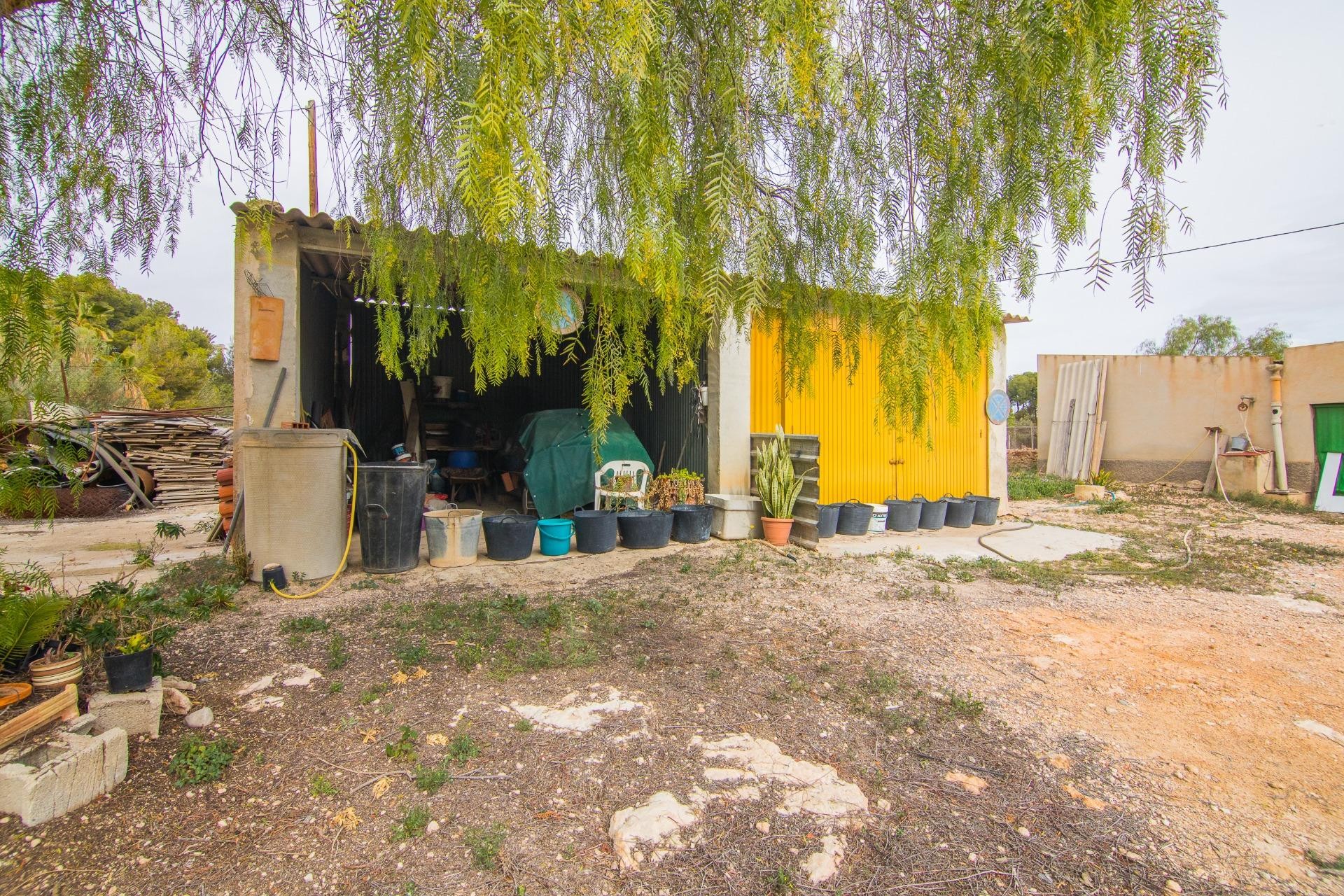 Reventa - Villa - Elche Pedanías - PEÑA DE LAS AGUILAS