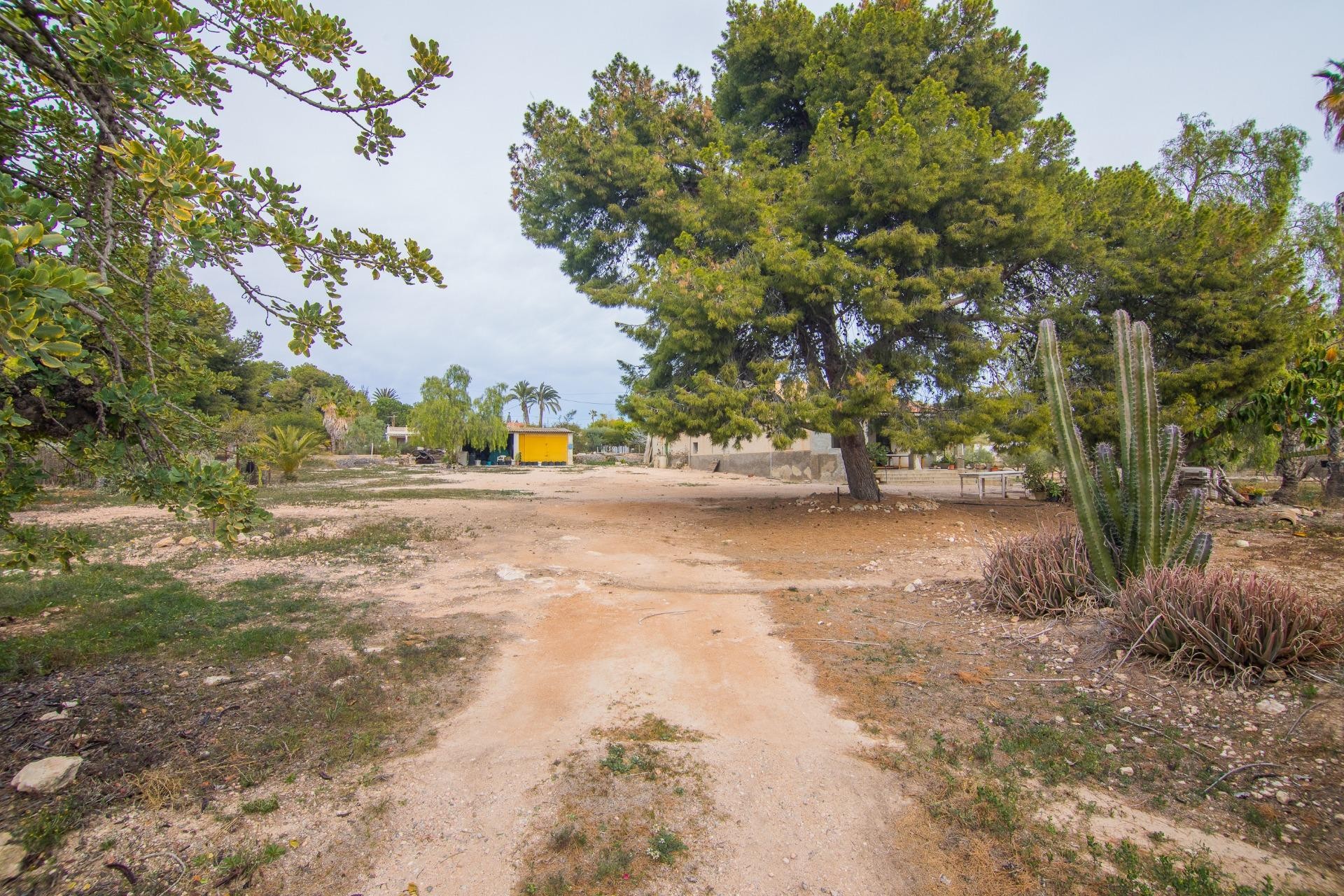 Reventa - Villa - Elche Pedanías - PEÑA DE LAS AGUILAS