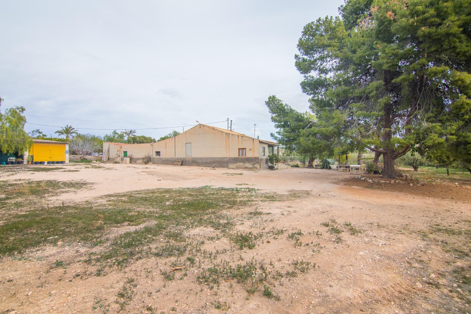 Reventa - Villa - Elche Pedanías - PEÑA DE LAS AGUILAS