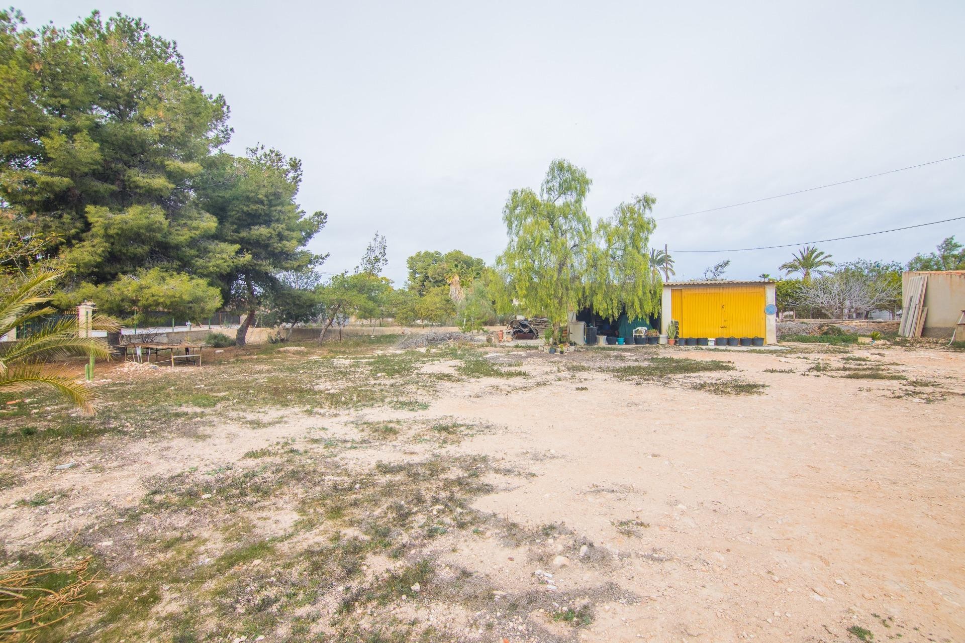 Reventa - Villa - Elche Pedanías - PEÑA DE LAS AGUILAS