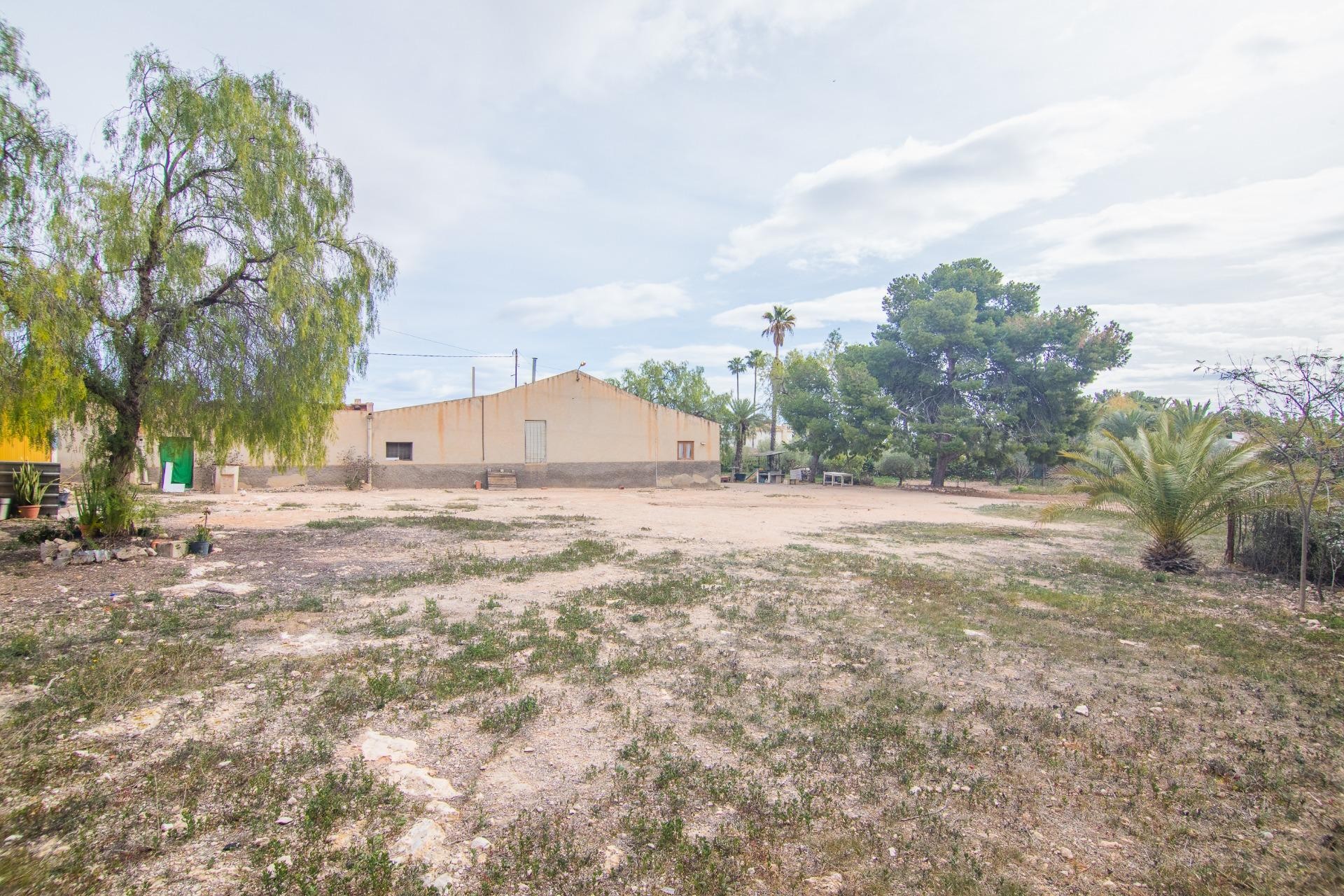 Reventa - Villa - Elche Pedanías - PEÑA DE LAS AGUILAS