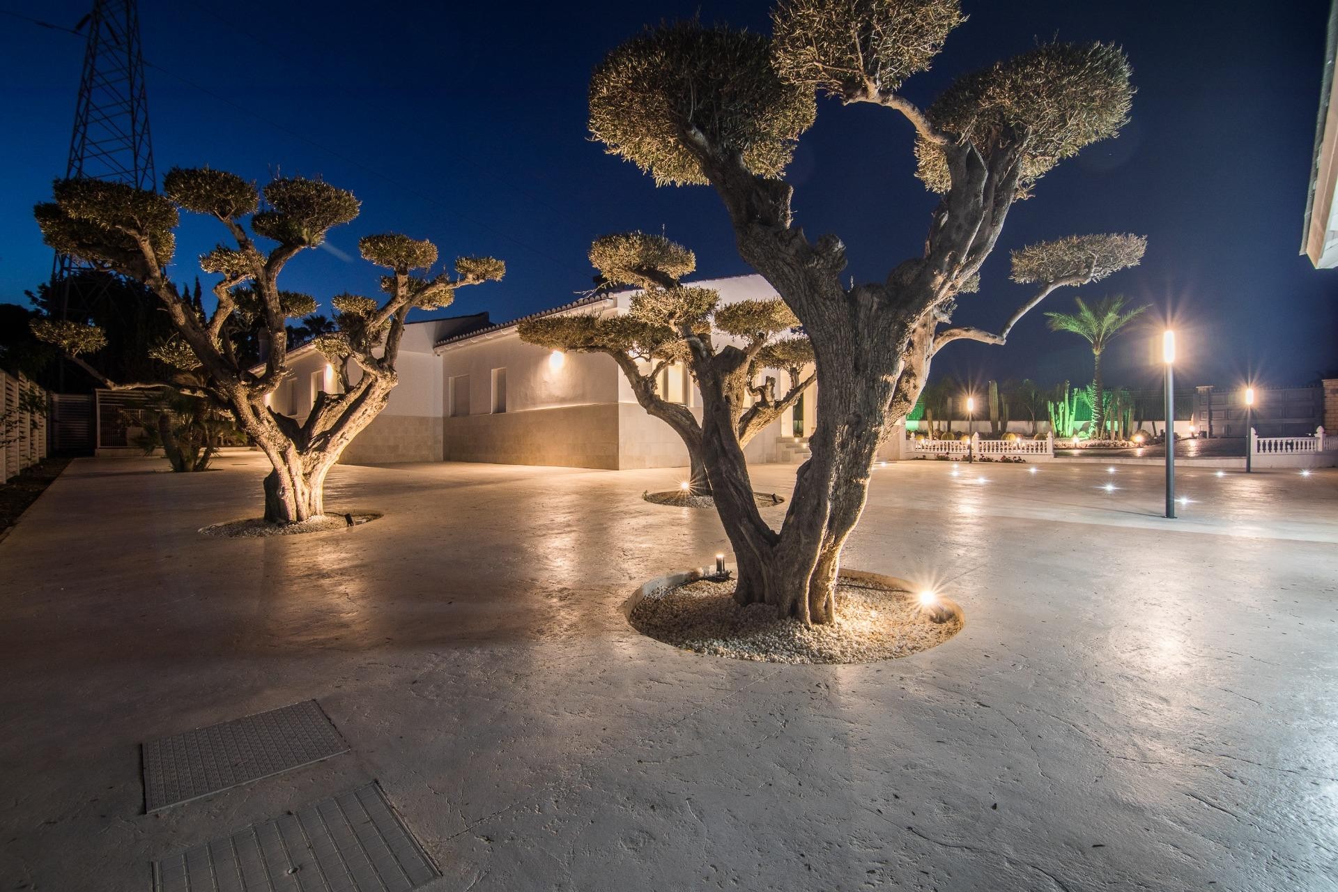 Reventa - Villa - Elche Pedanías - PEÑA DE LAS AGUILAS
