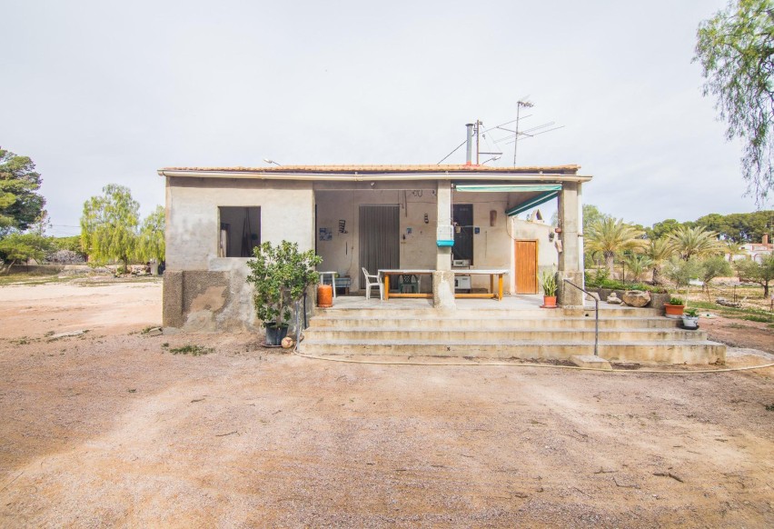 Reventa - Villa - Elche Pedanías - Peña las Águilas