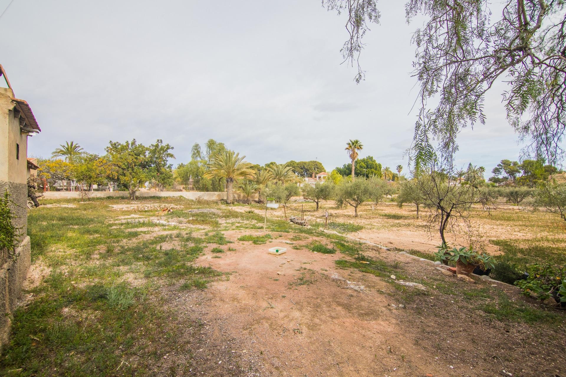Reventa - Villa - Elche Pedanías - Peña las Águilas