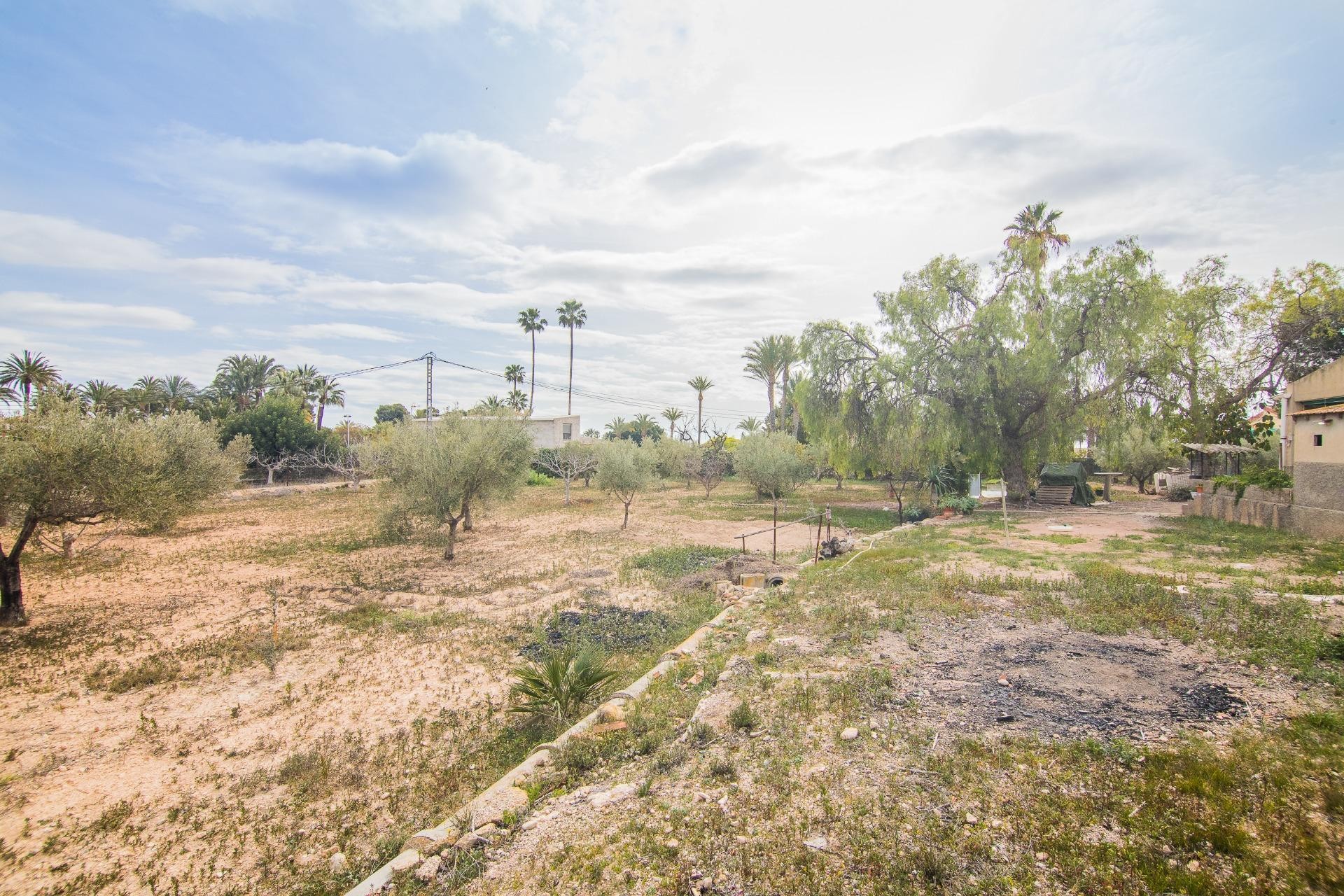 Reventa - Villa - Elche Pedanías - Peña las Águilas