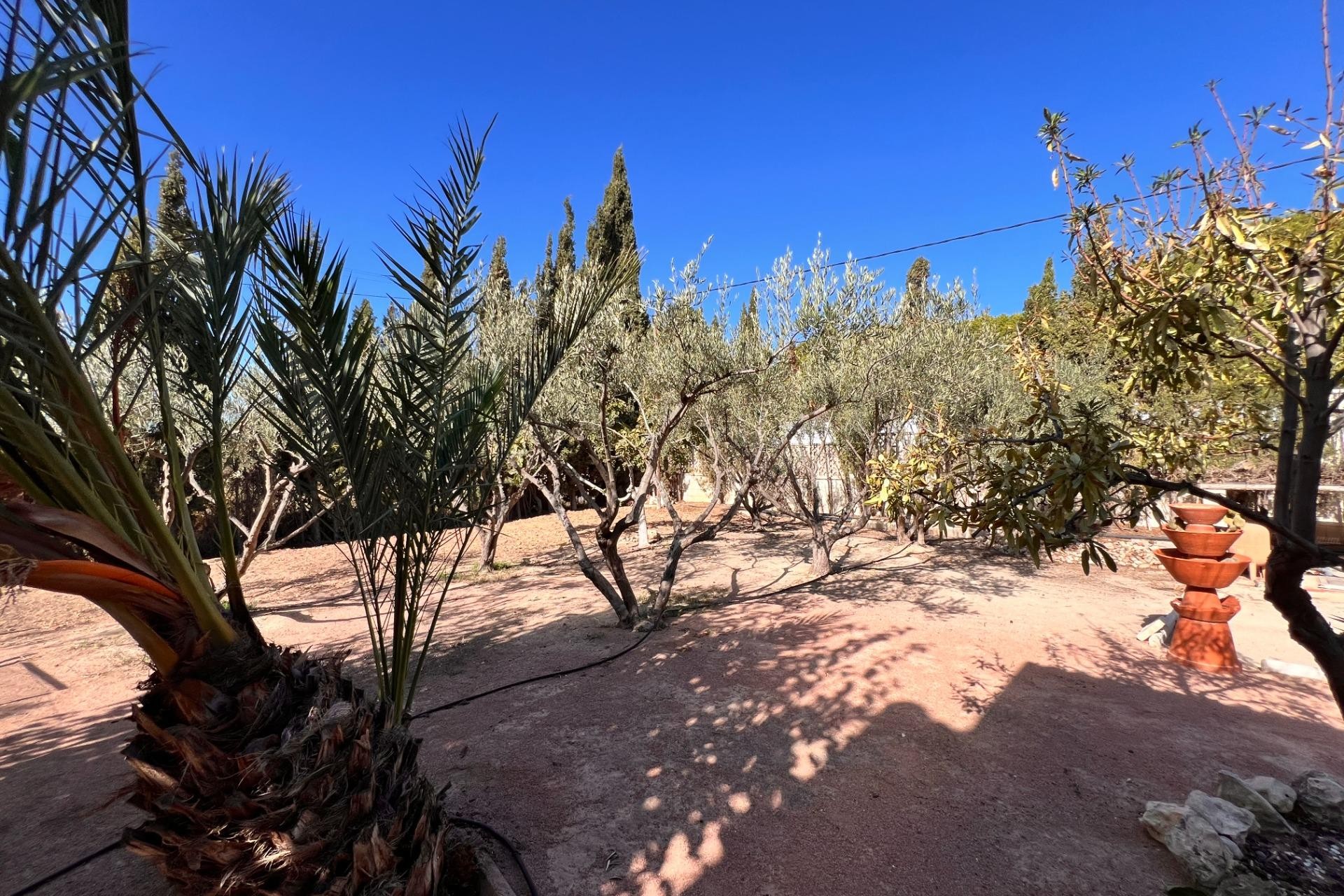 Reventa - Villa - Elche Pedanías - Peña las Águilas