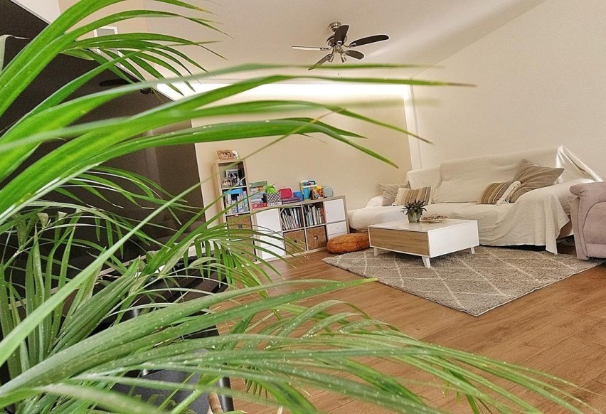 Reventa - Villa - Elche Pedanías - Peña las Águilas