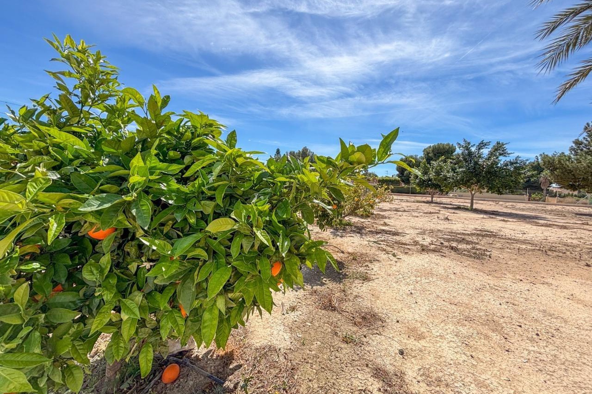 Reventa - Villa - Elche Pedanías - Valverde