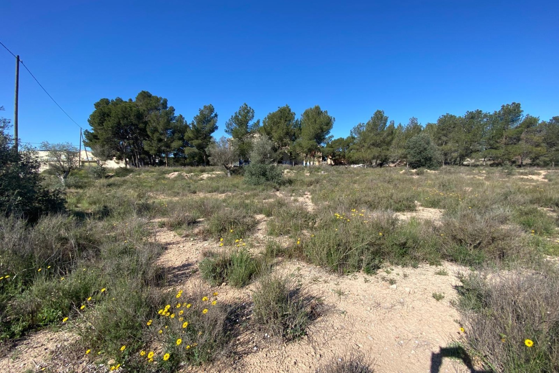 Reventa - Villa - Elda - Las Trescientas - San Francisco